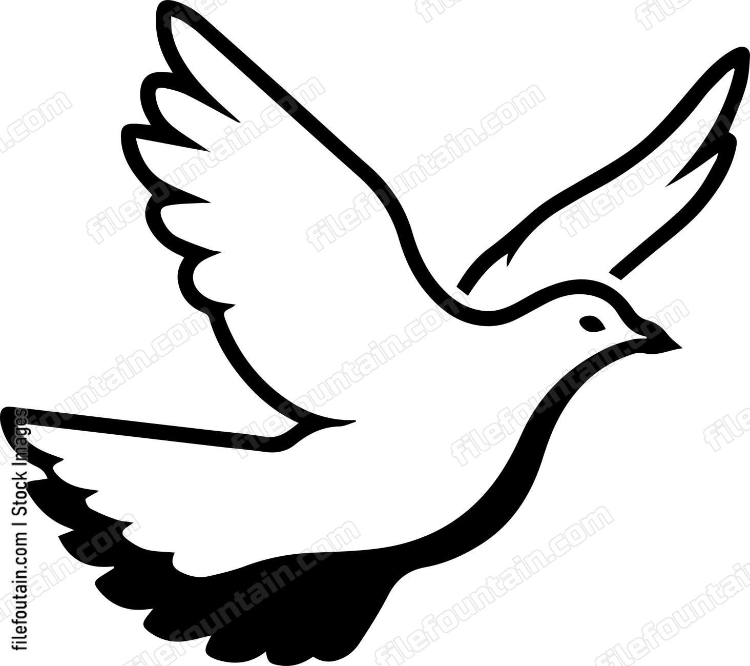 pigeon Flying
