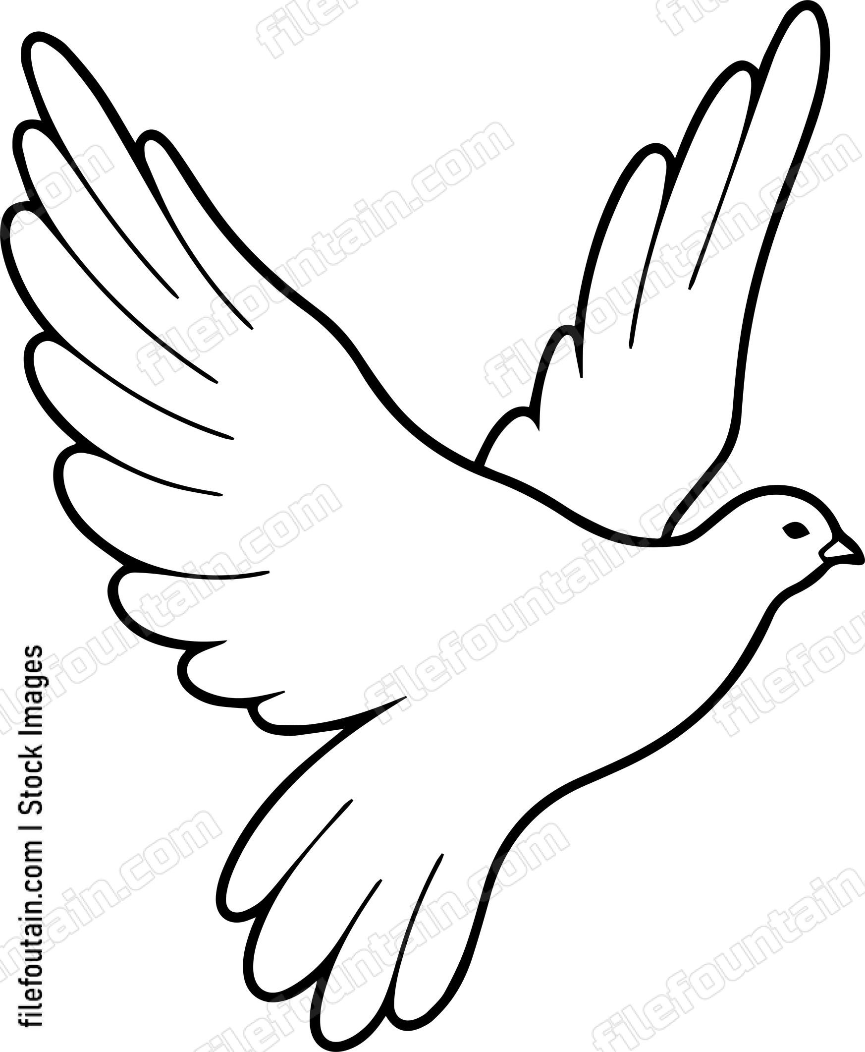 pigeon Flying