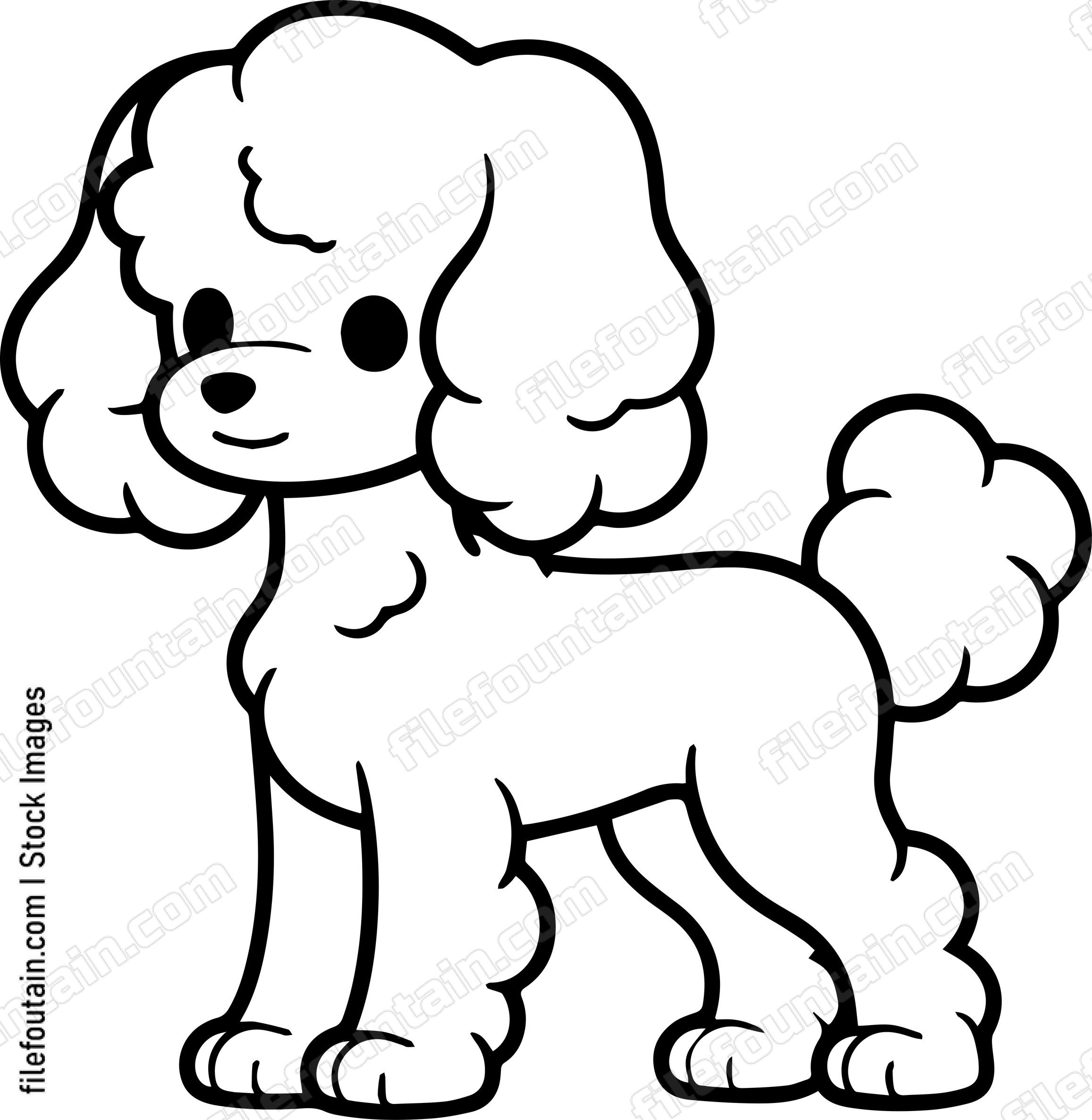 Poodle