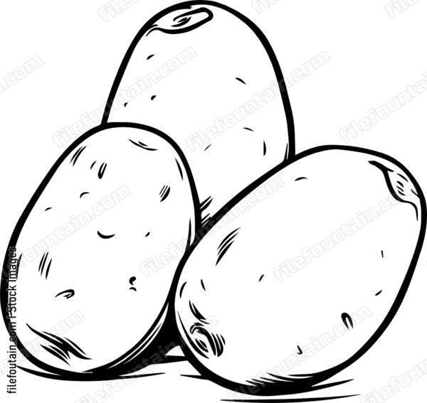 Potatoes