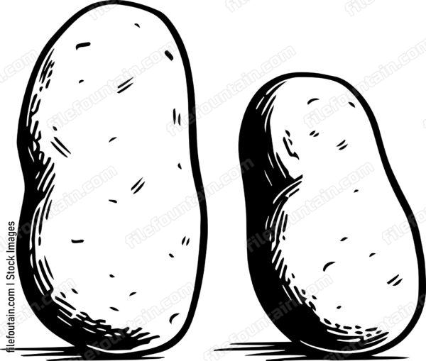Potatoes