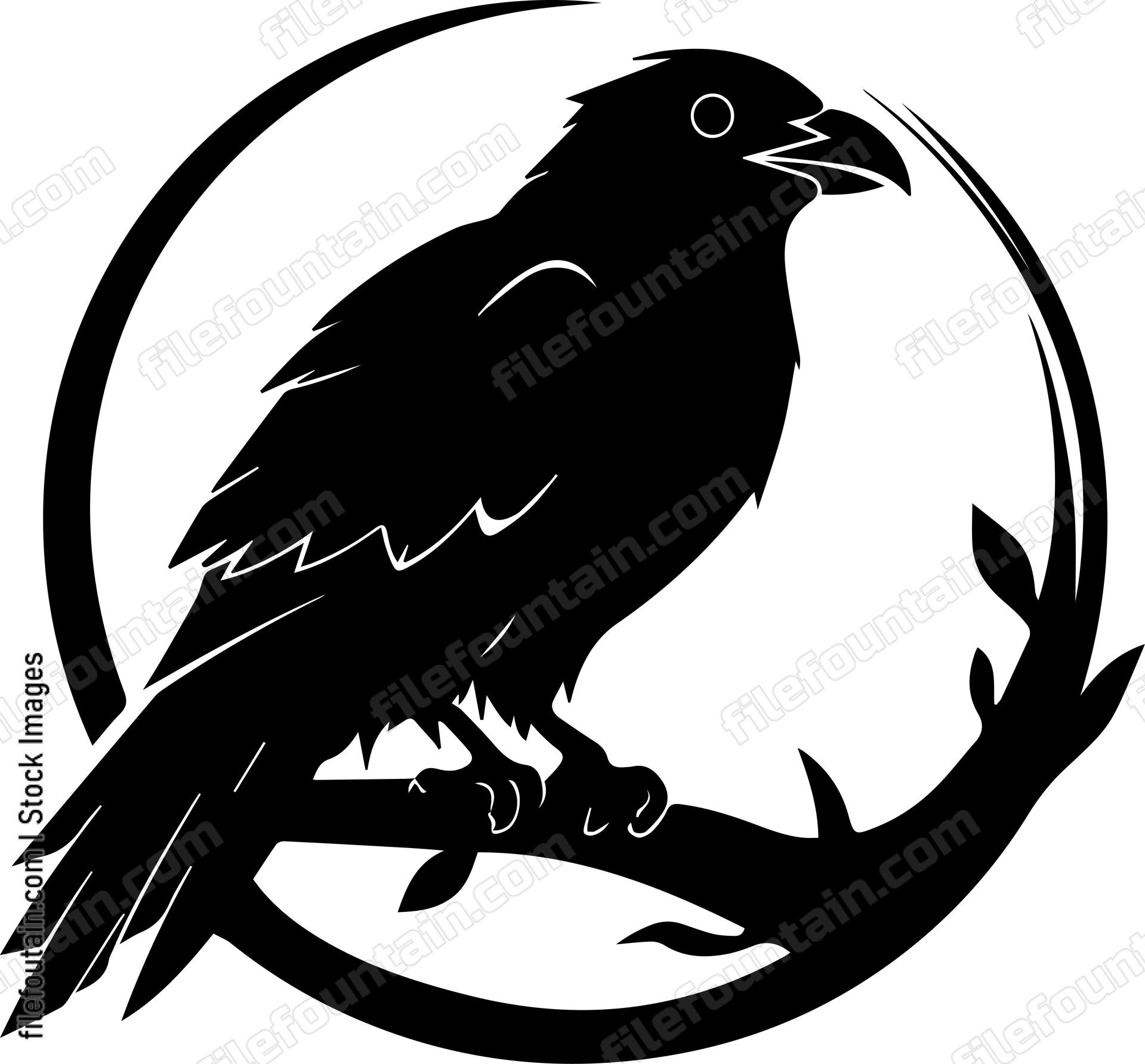 raven
