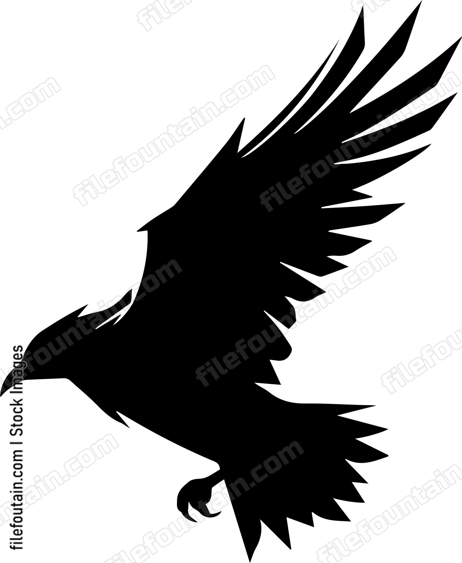 raven