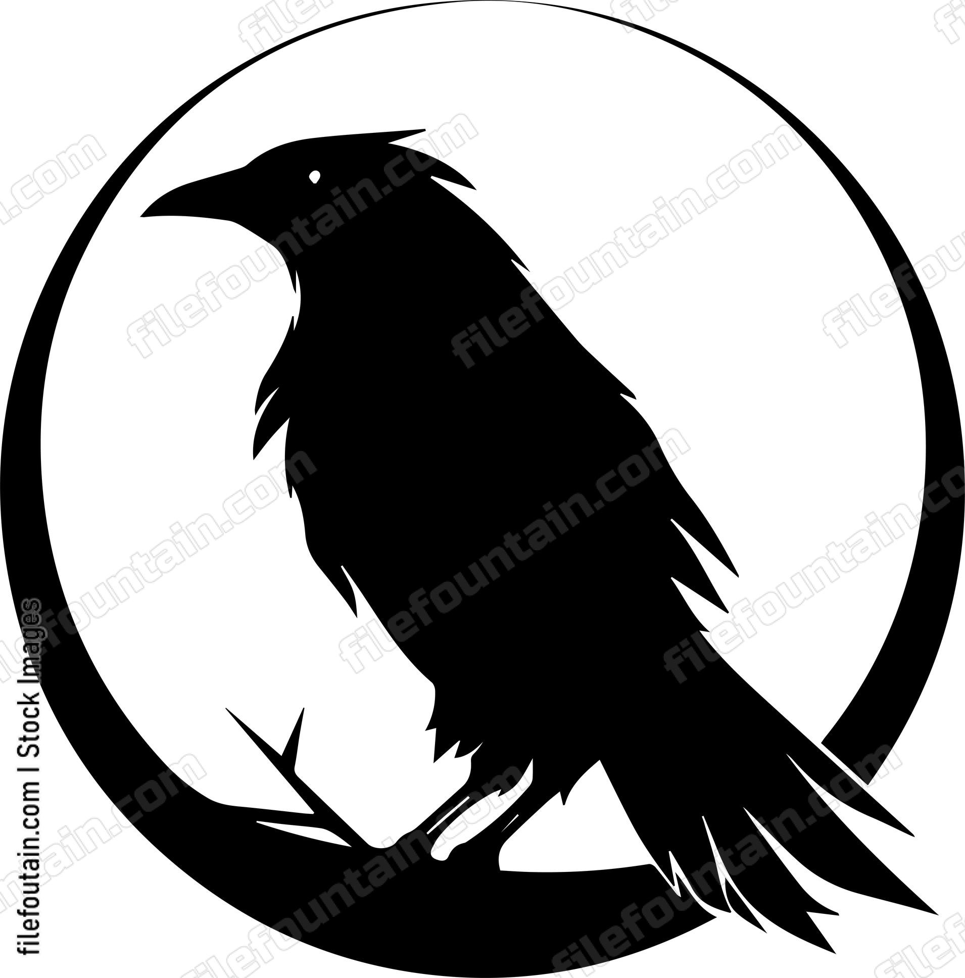 raven
