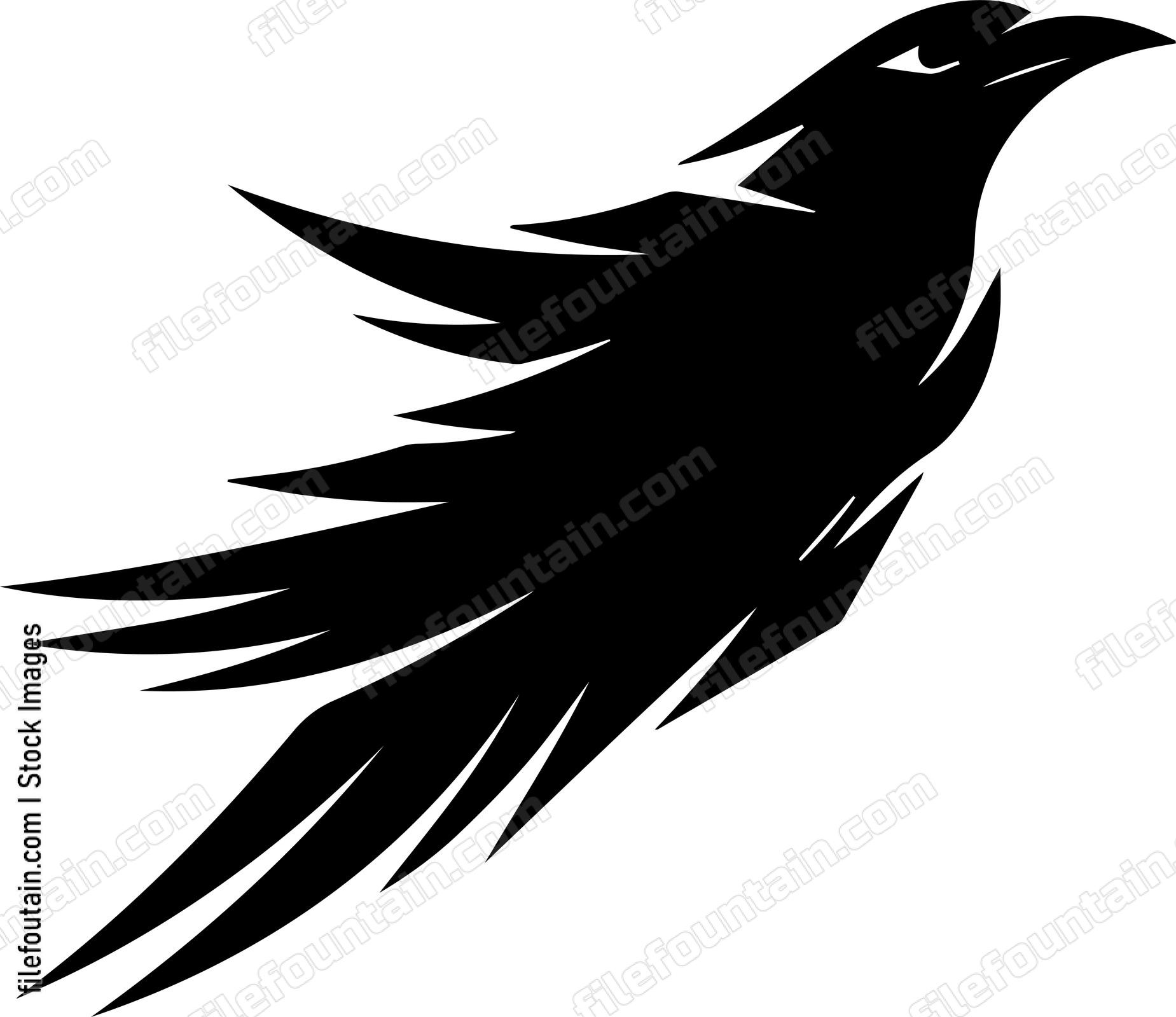 raven