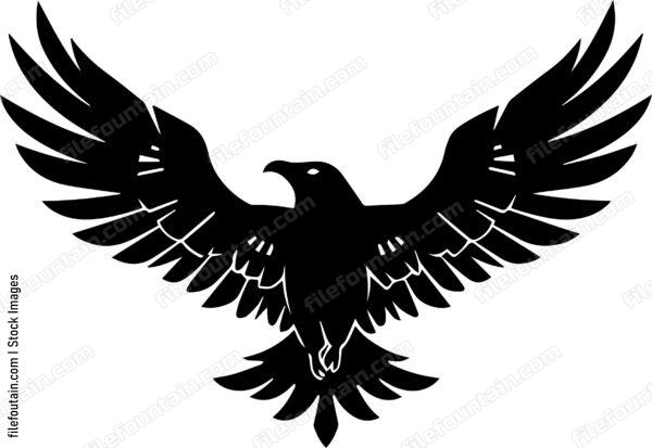 raven