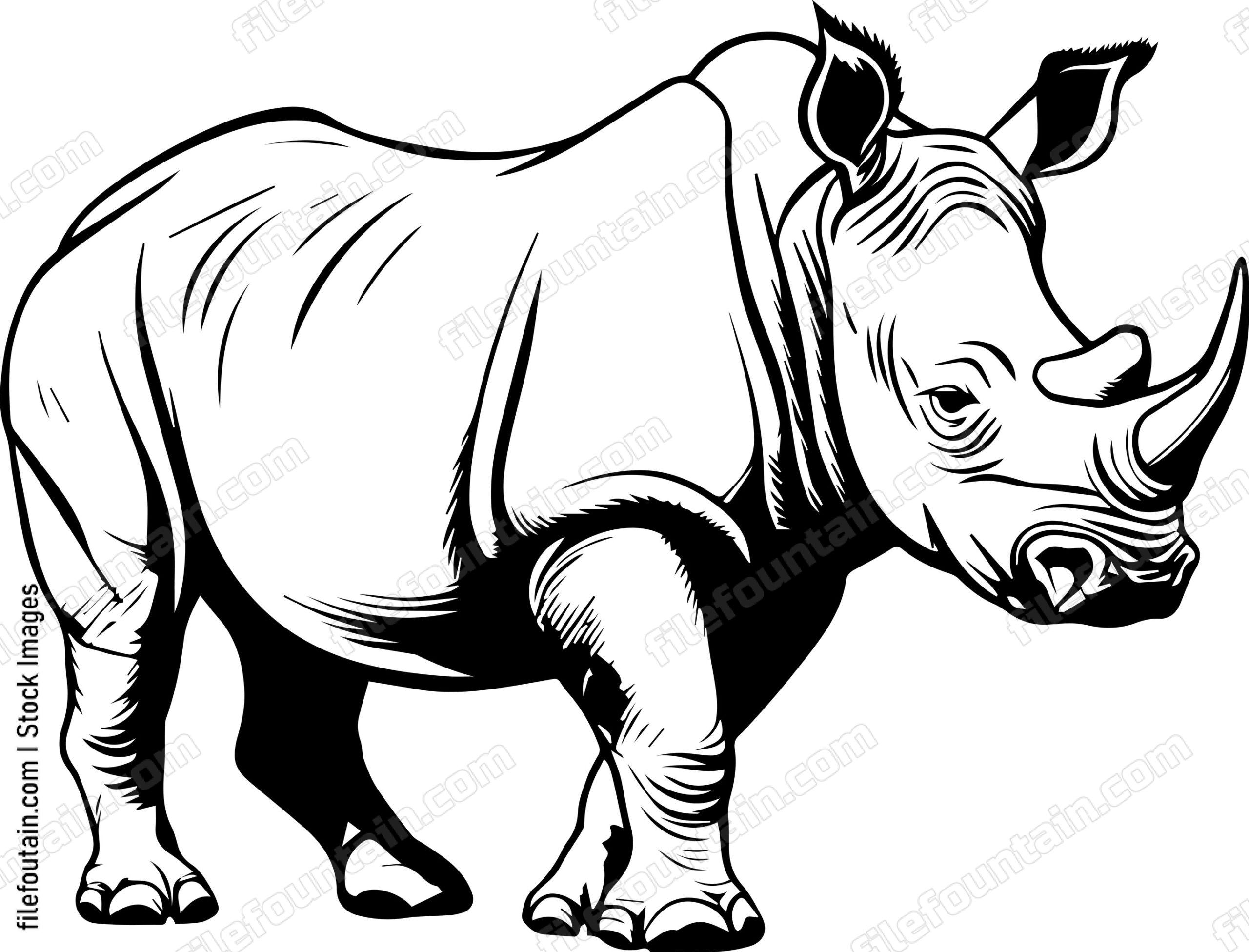 Rhino