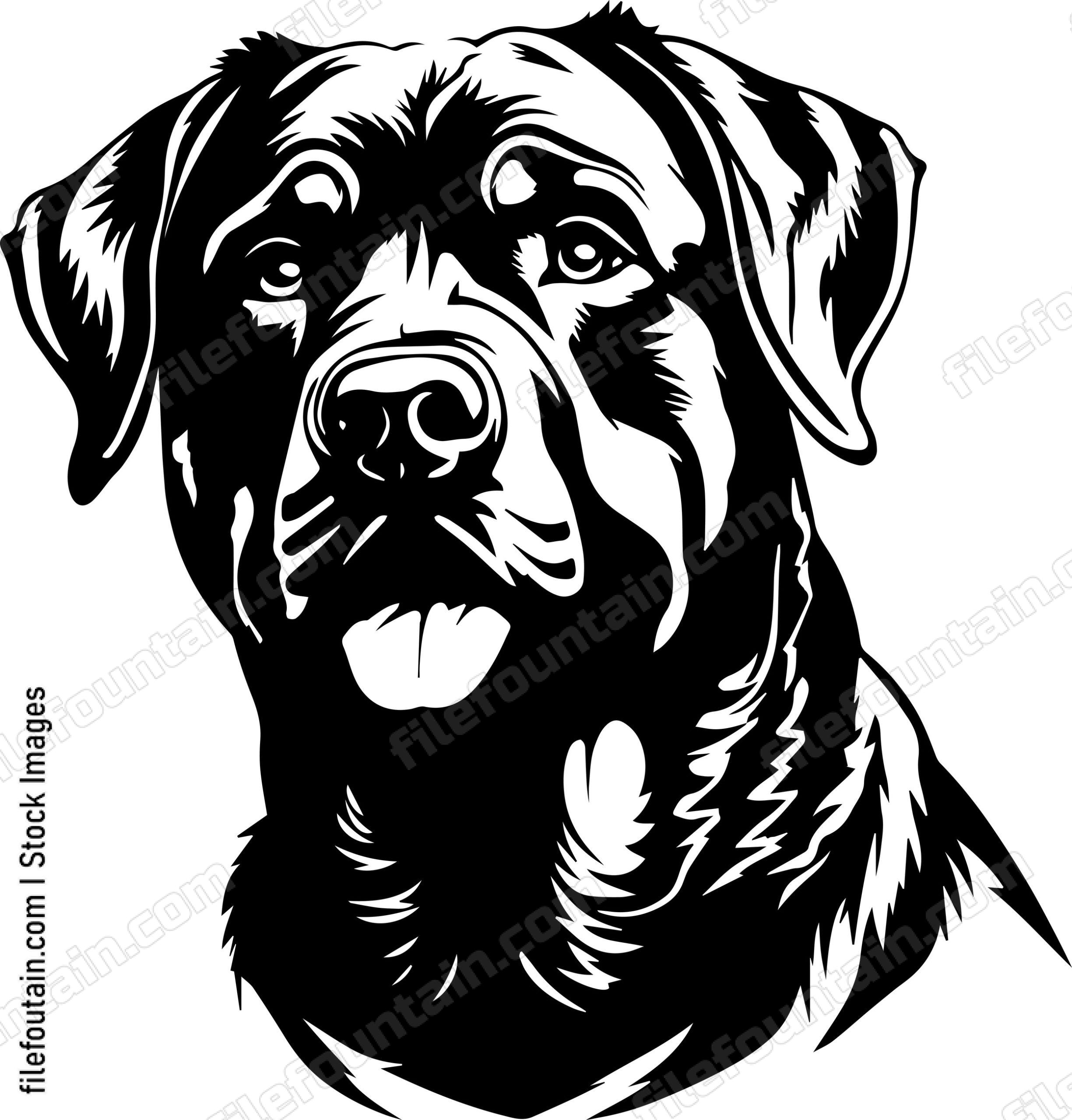 Rottweiler