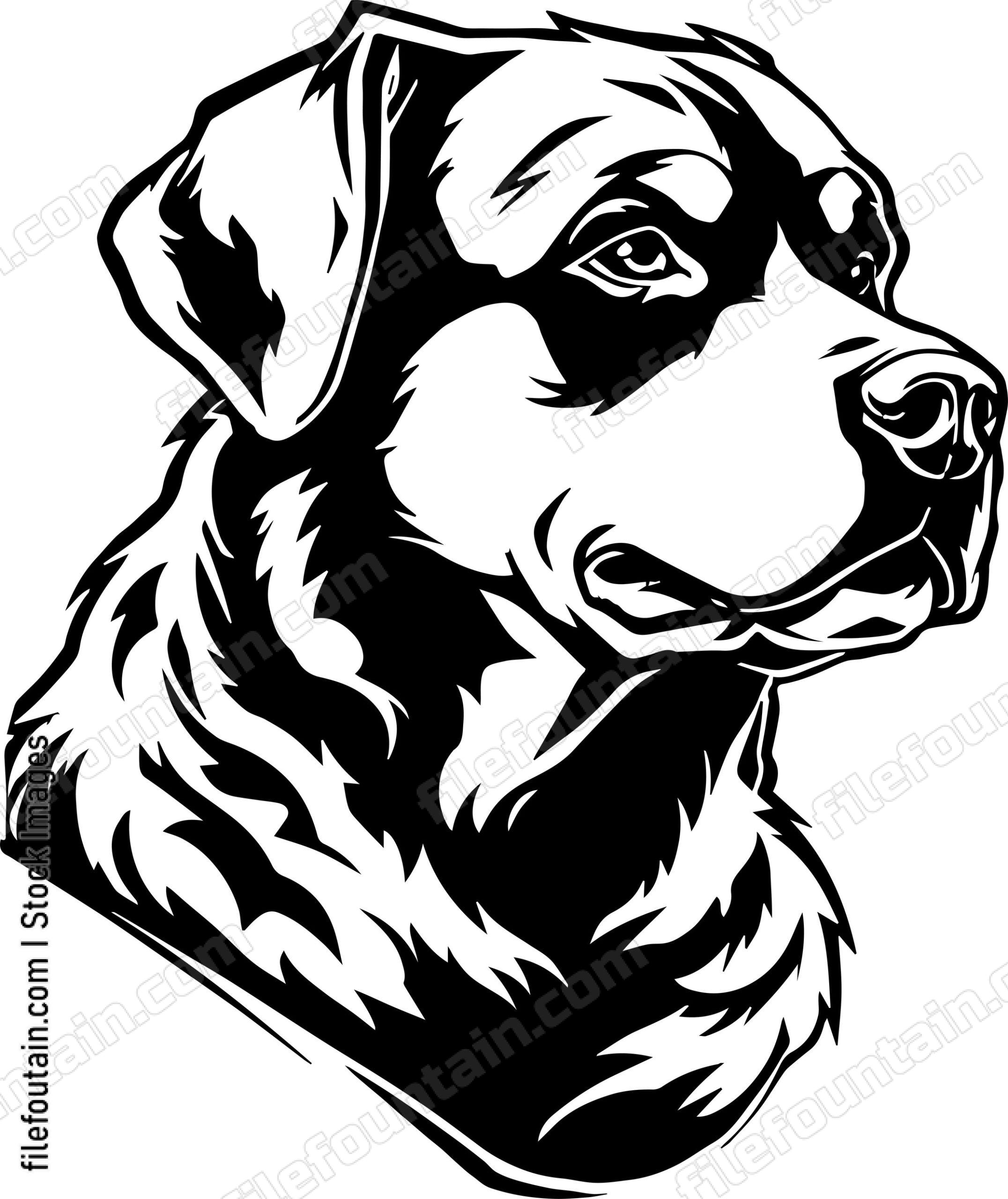 Rottweiler