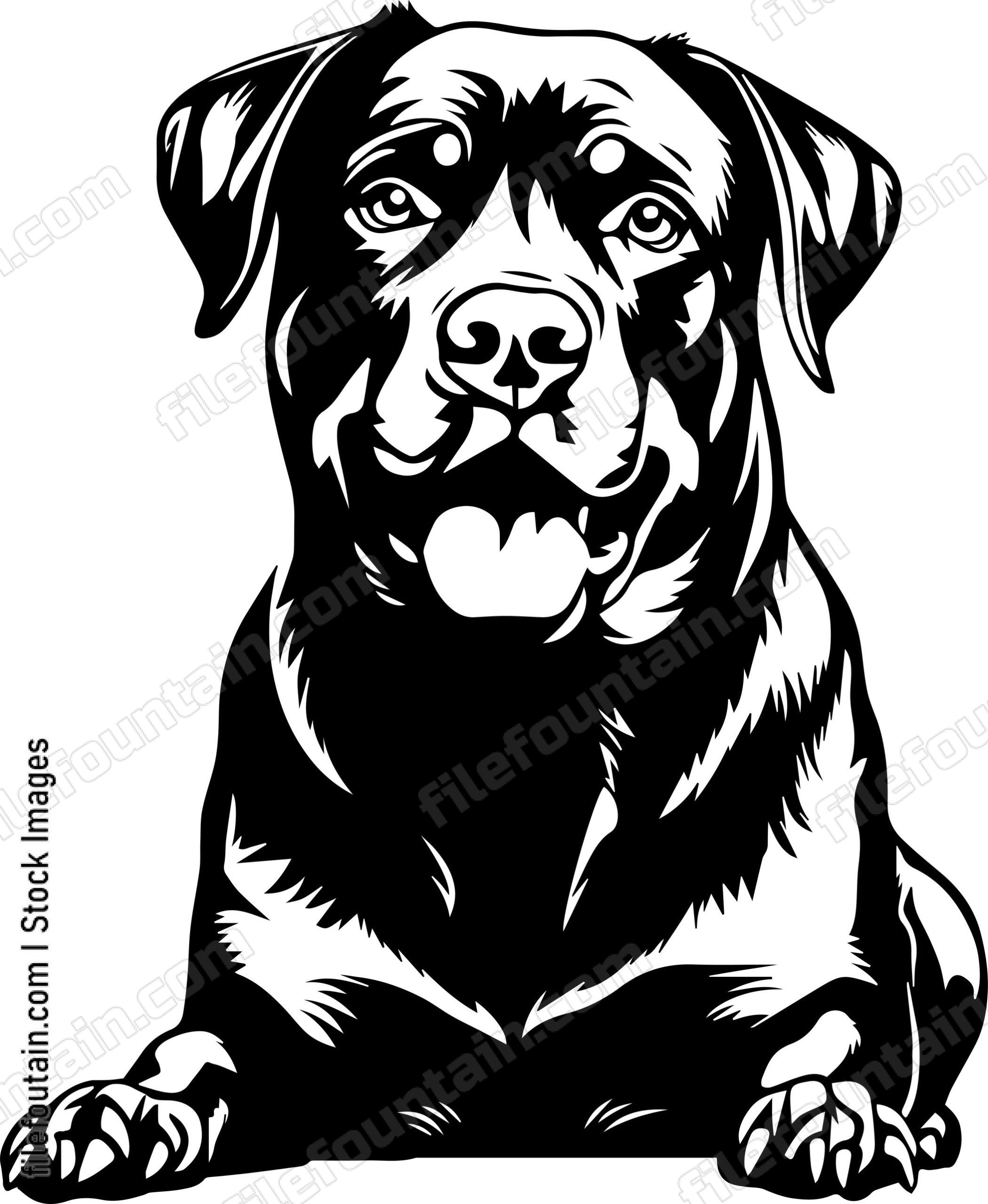 Rottweiler