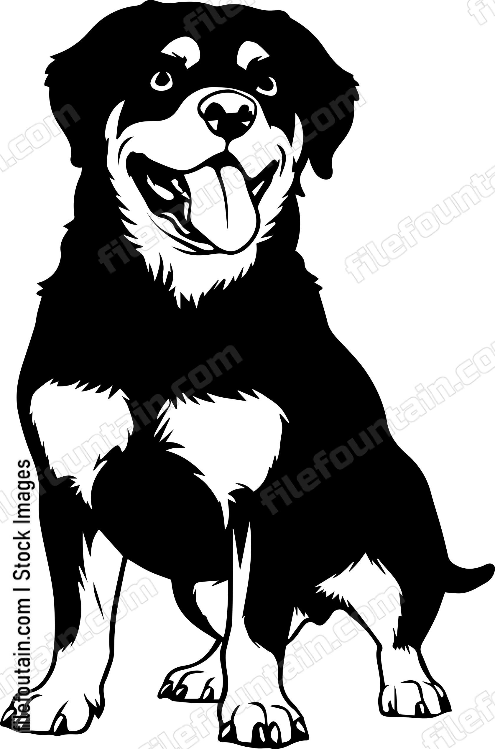 Rottweiler