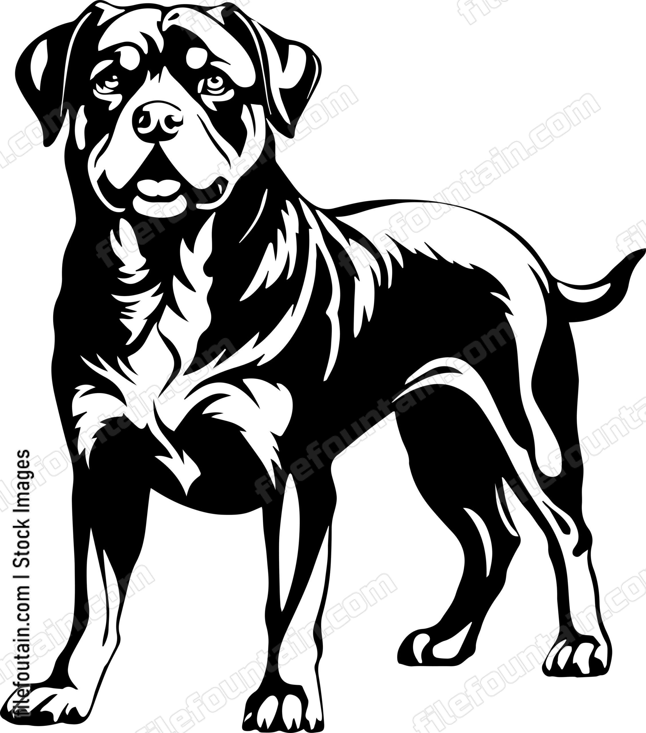 Rottweiler