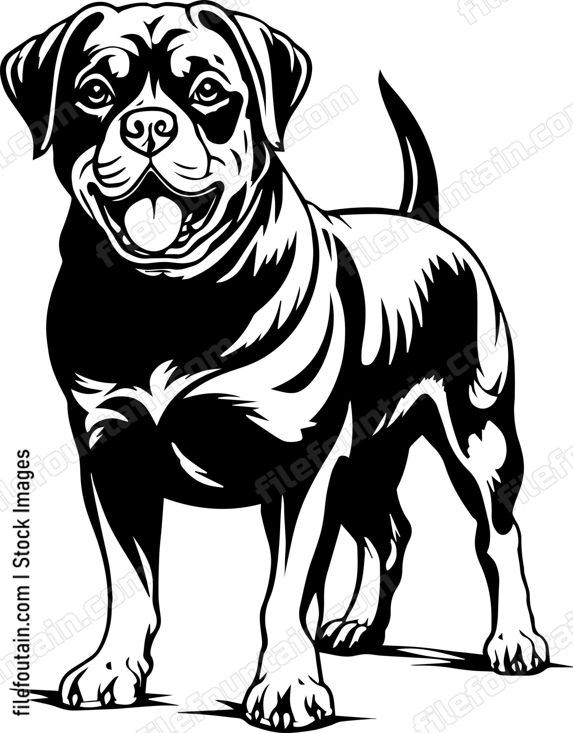 Rottweiler