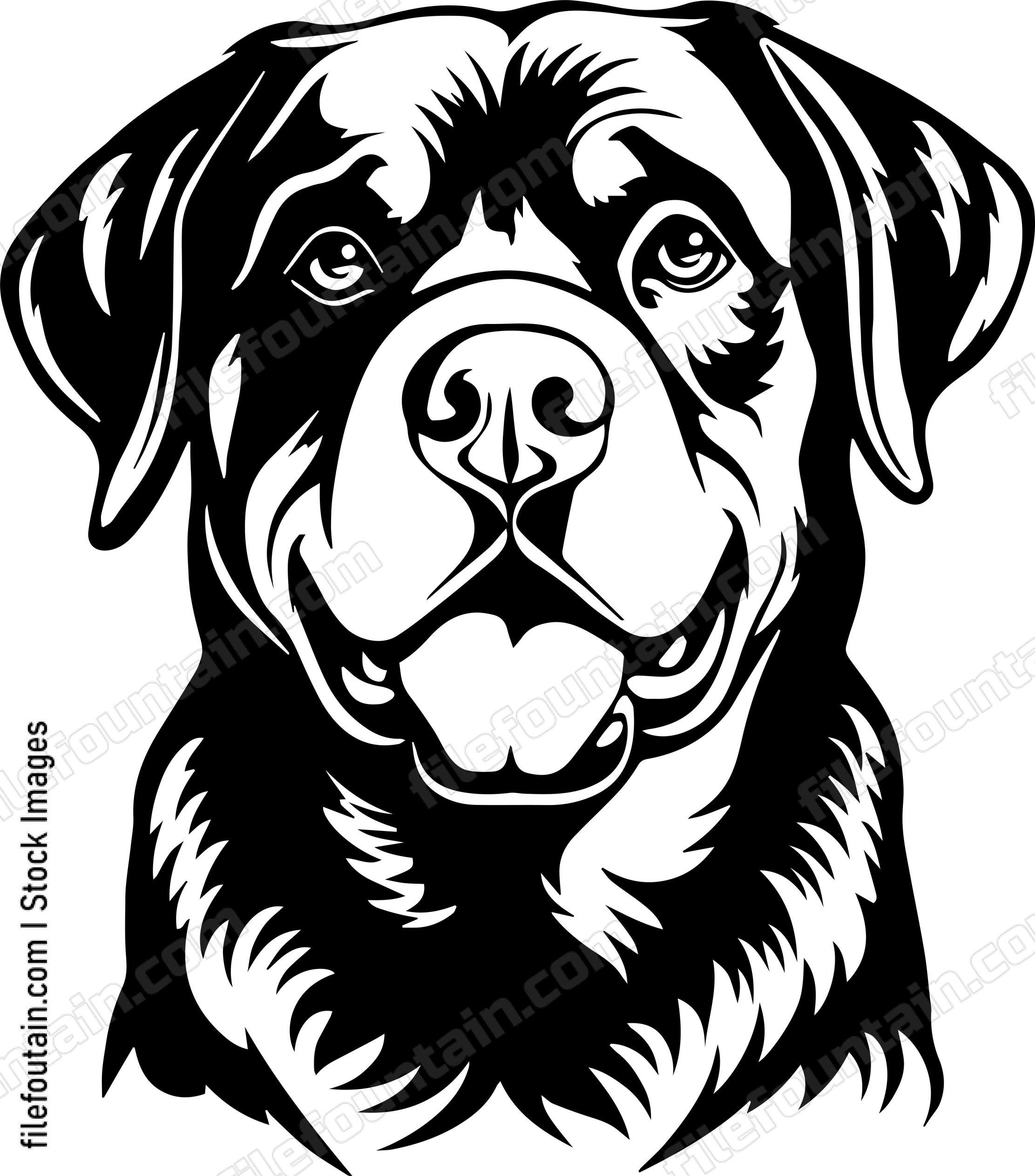 Rottweiler