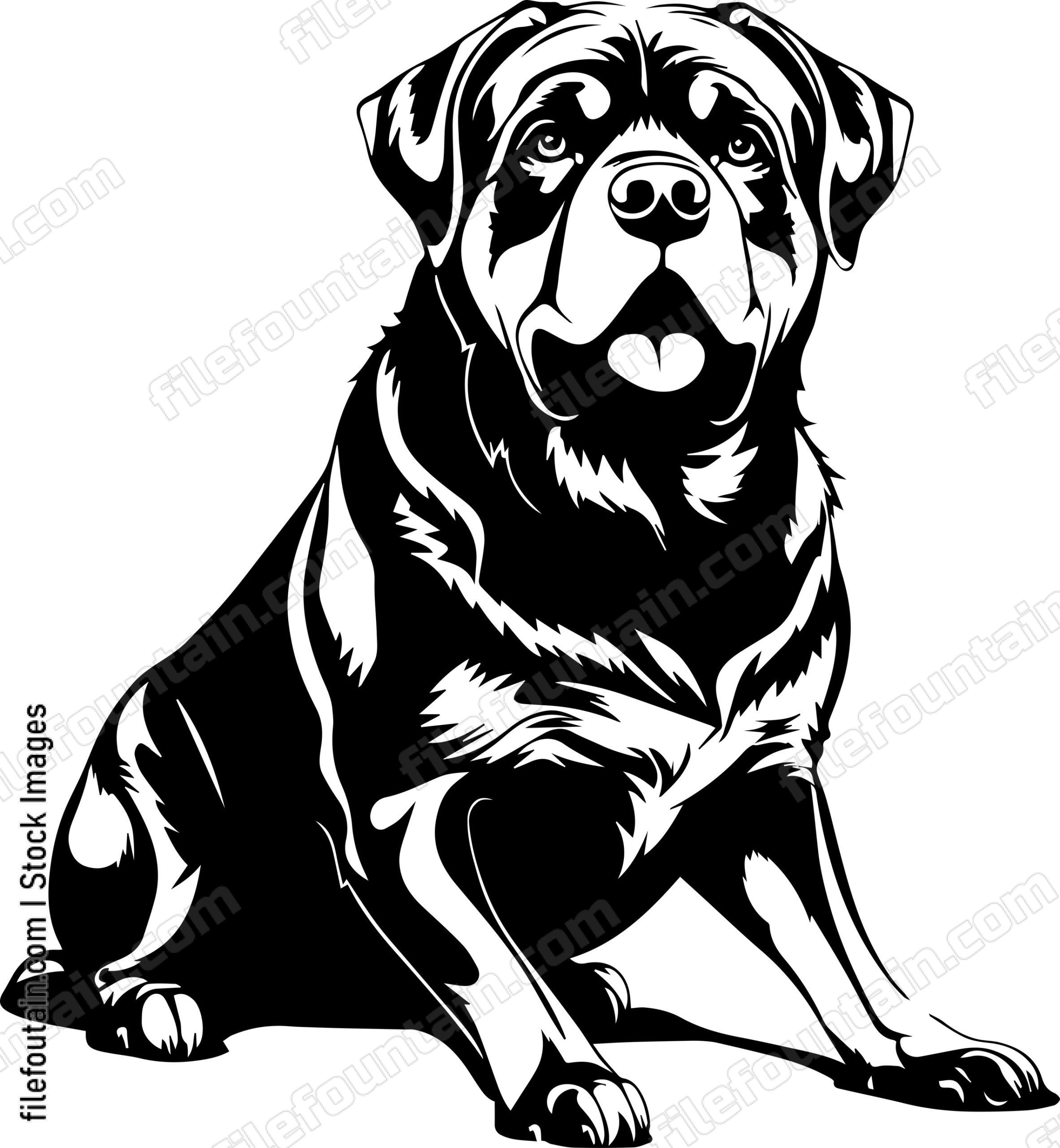 Rottweiler