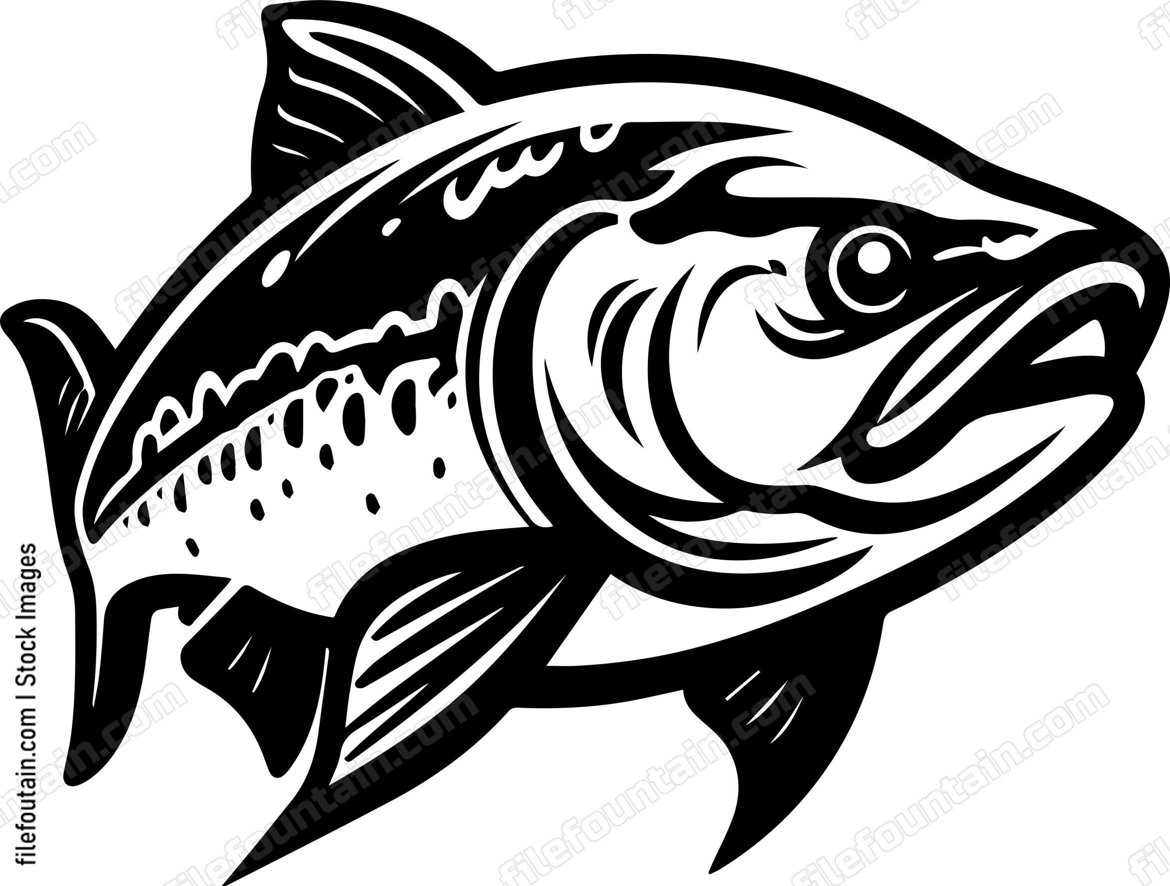 Salmon