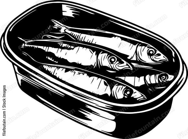 Sardines