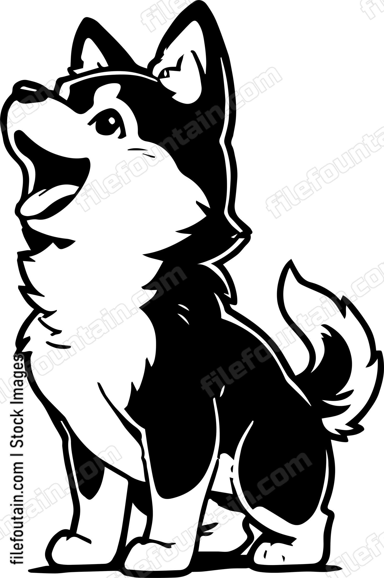 Siberian Husky