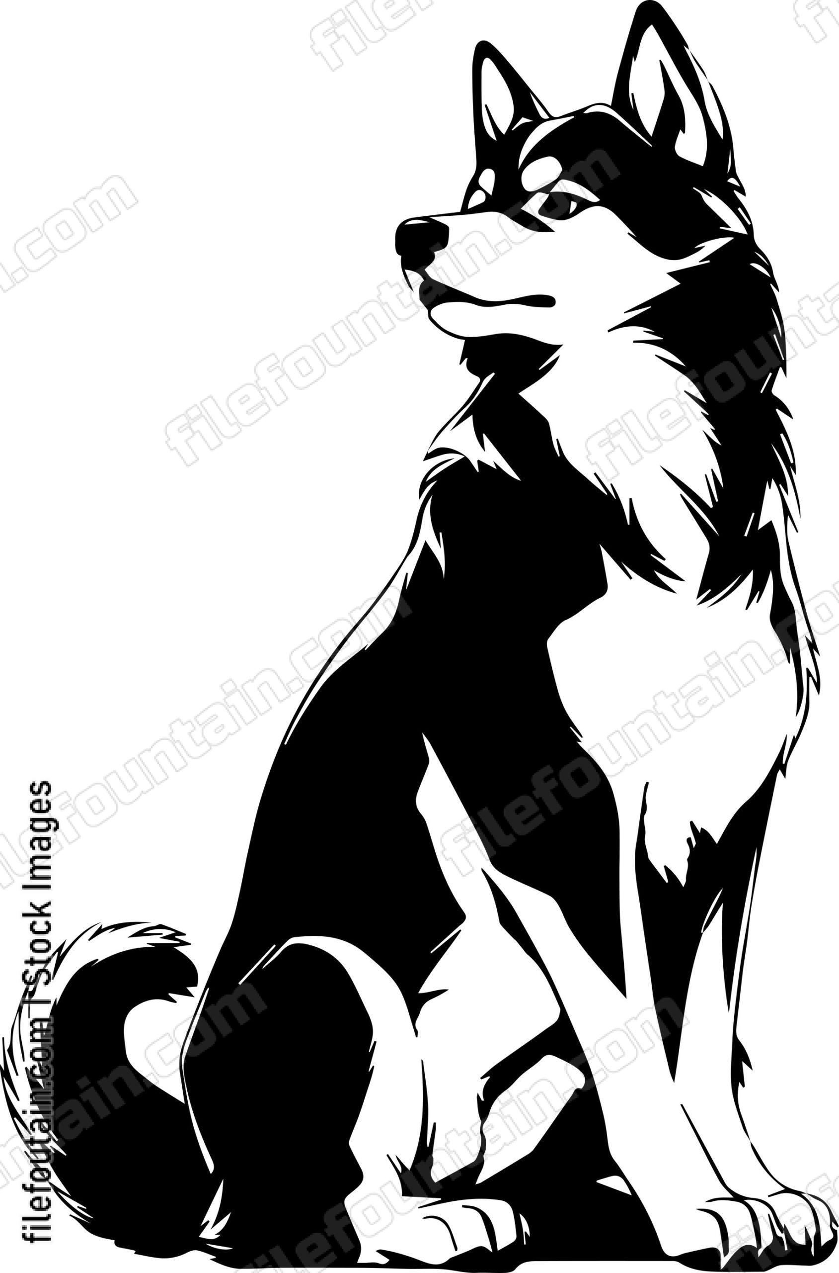 Siberian Husky