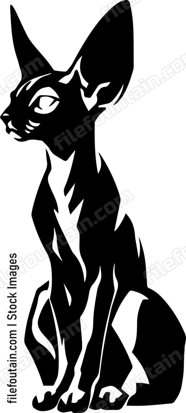 Sphynx Cat