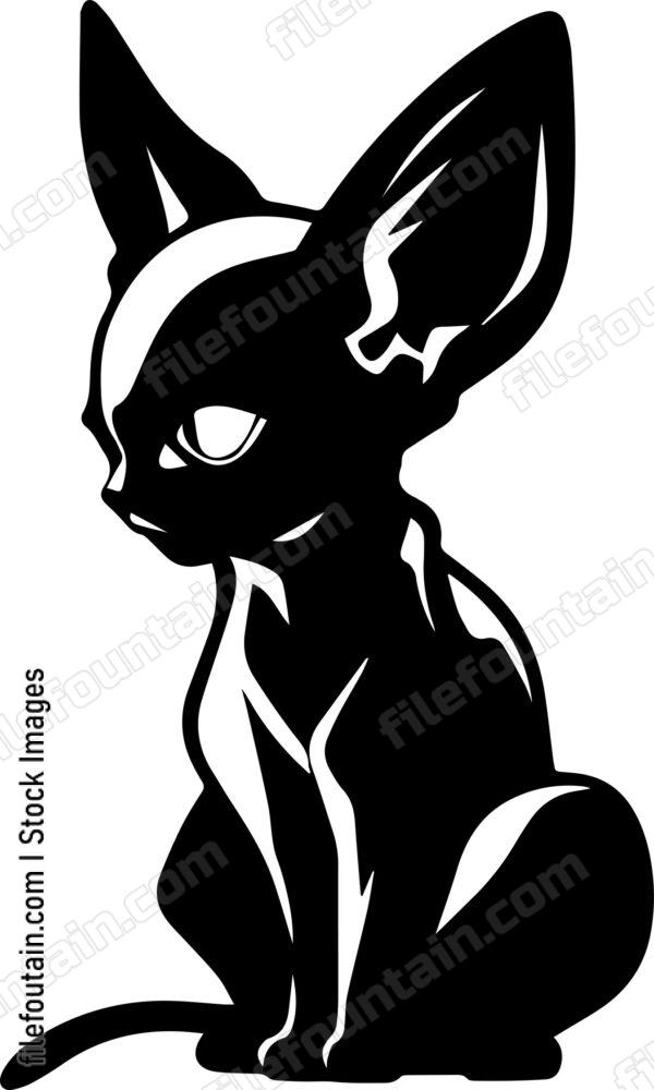 Sphynx Cat