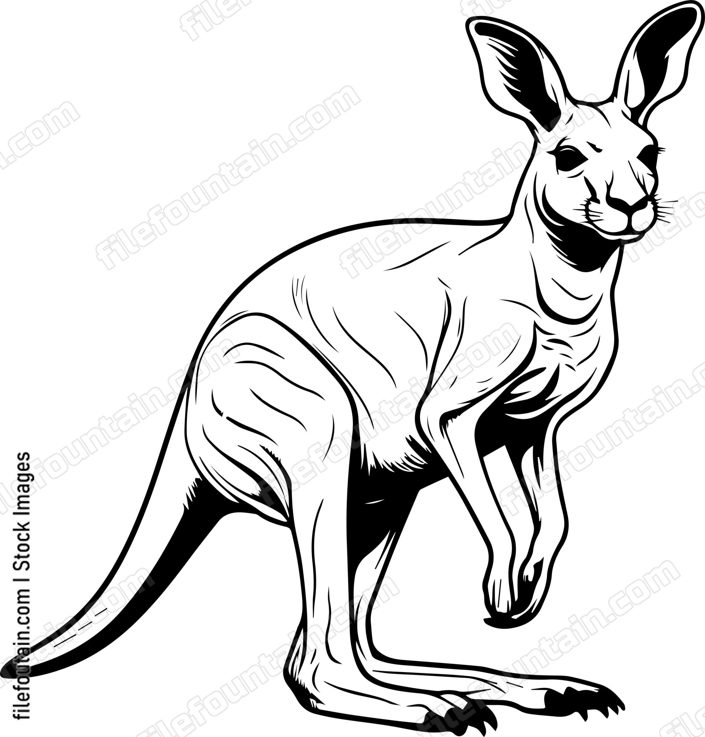 Standing Kangaroo