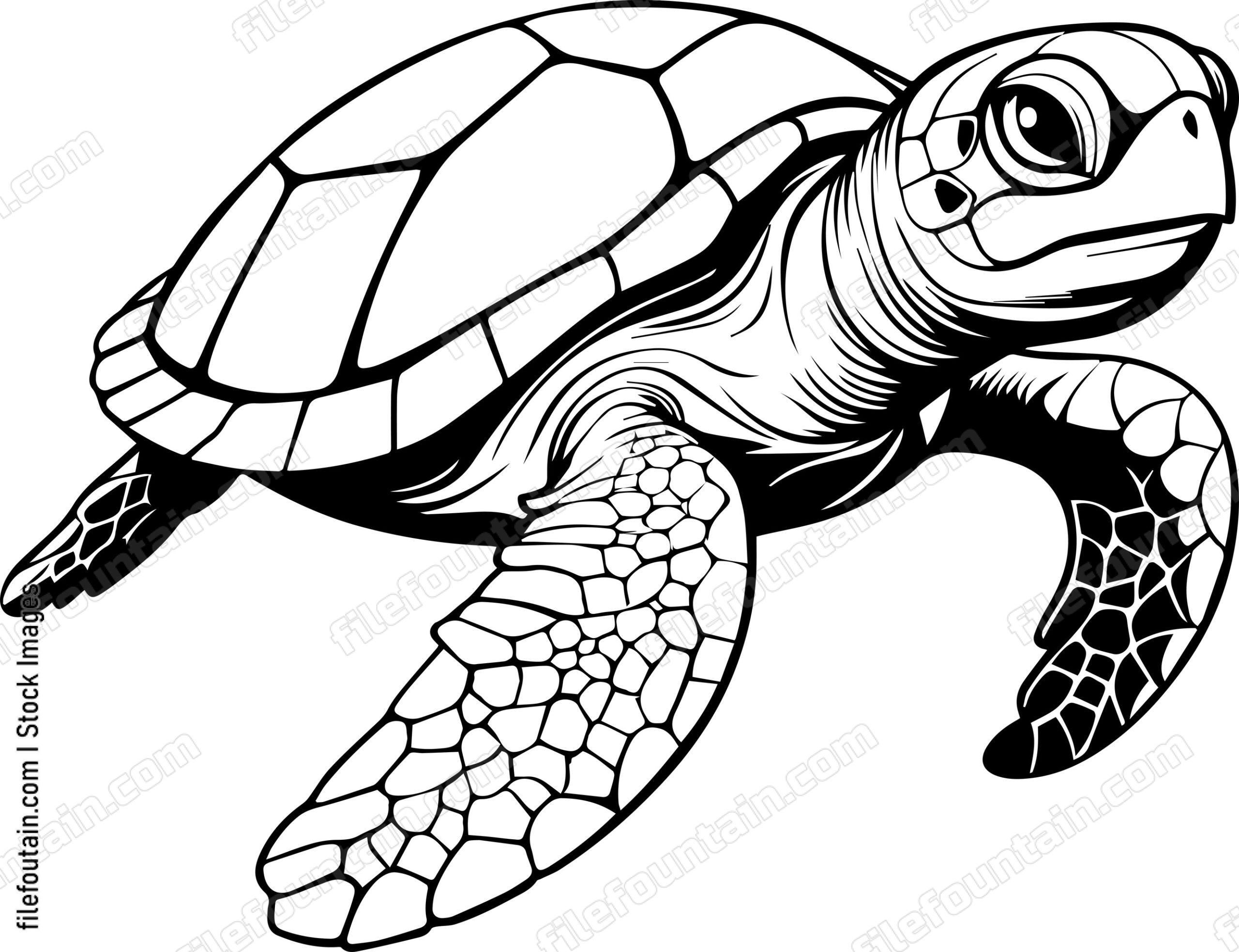 Swimming Turtle