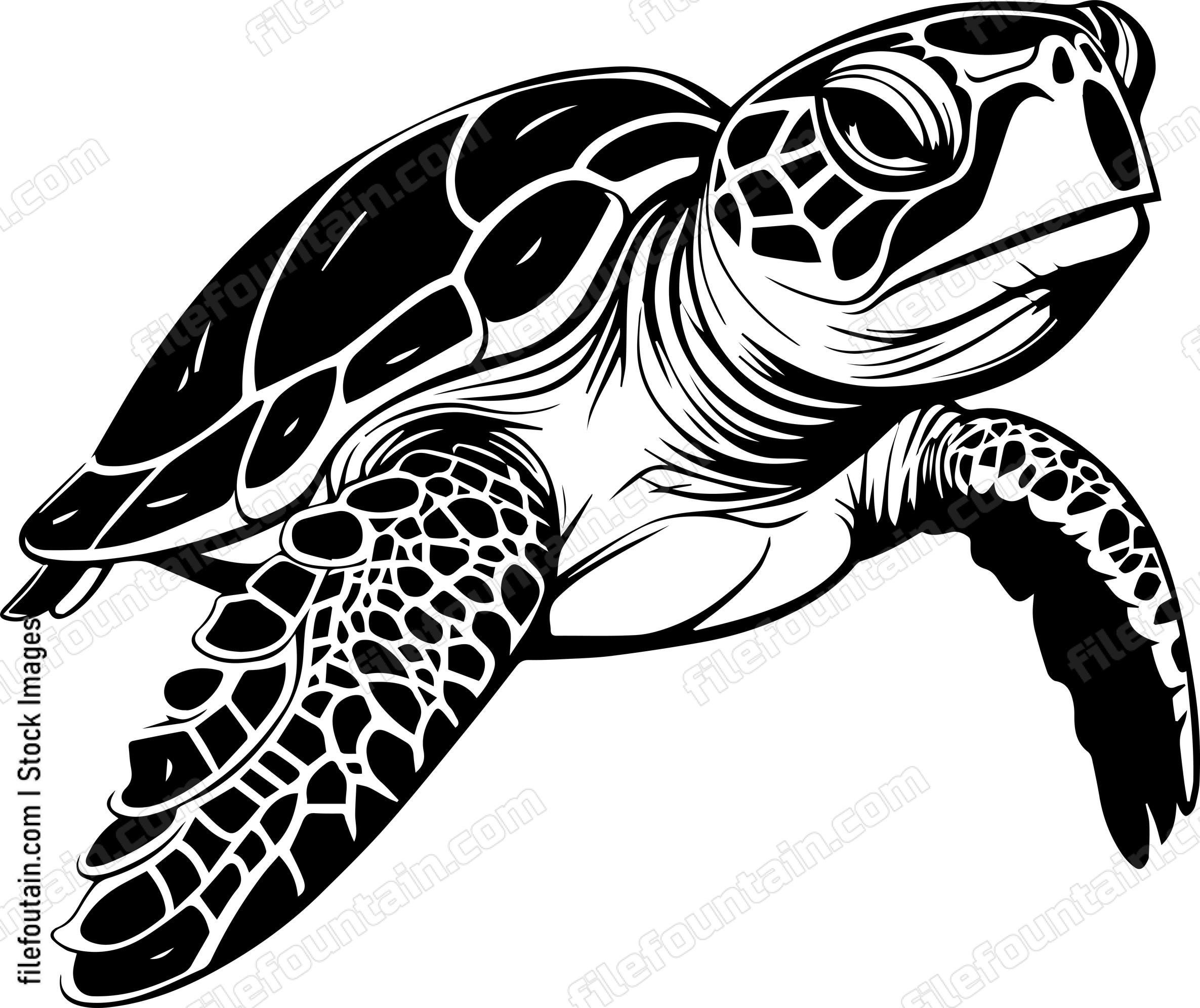 Swimming Turtle