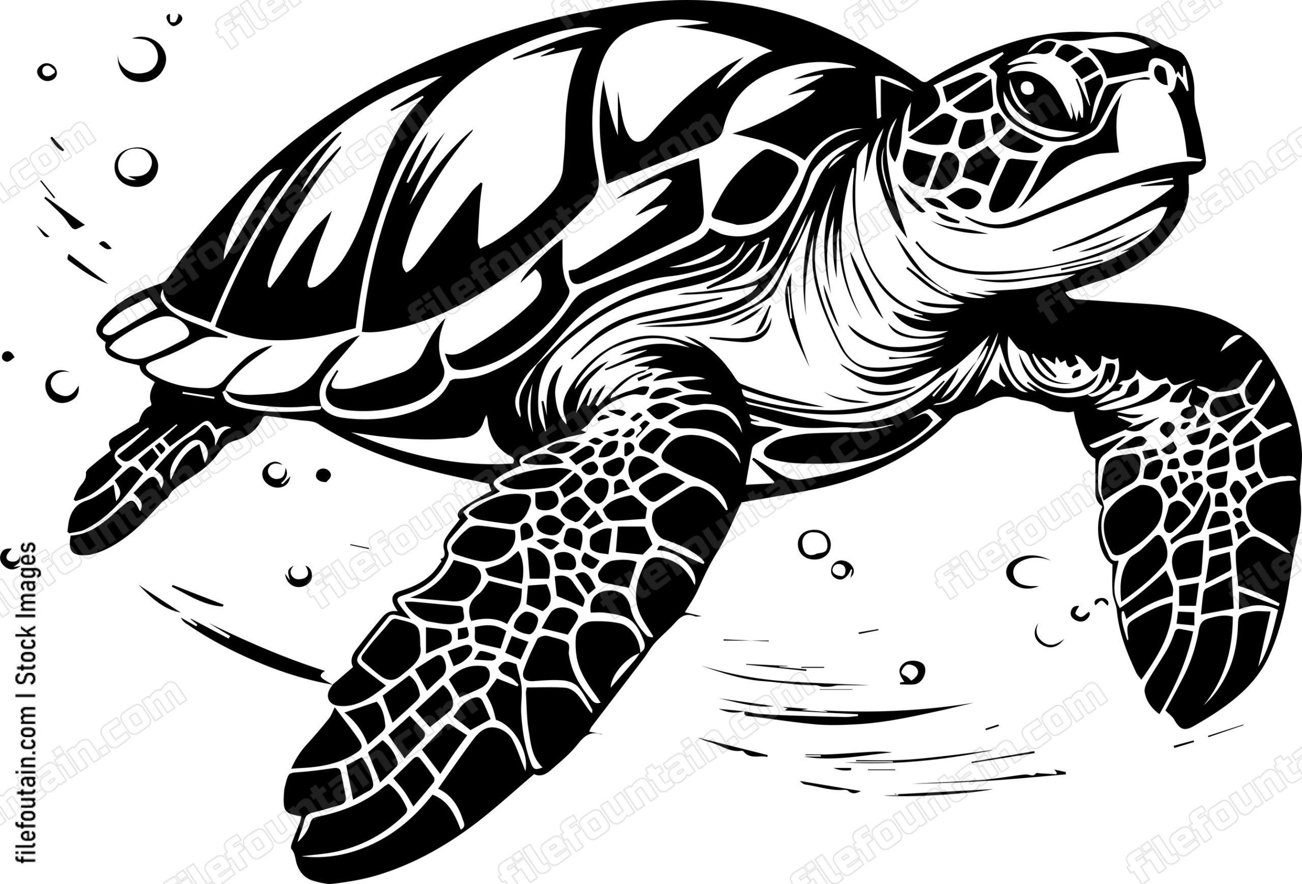 Swimming Turtle