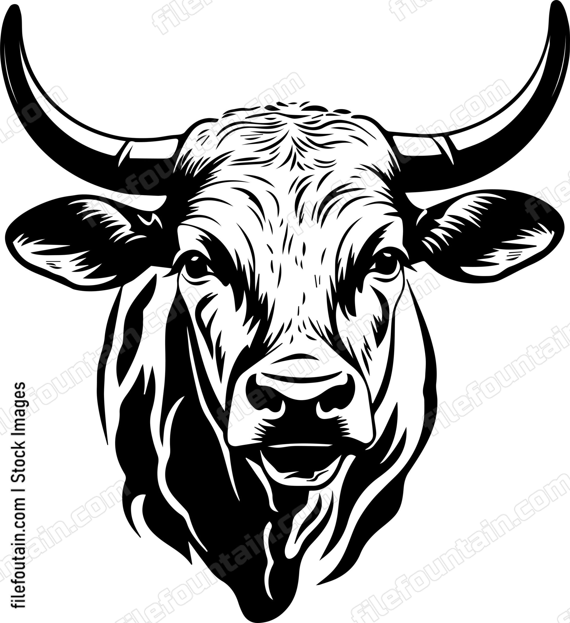 Texas Longhorn Mascot