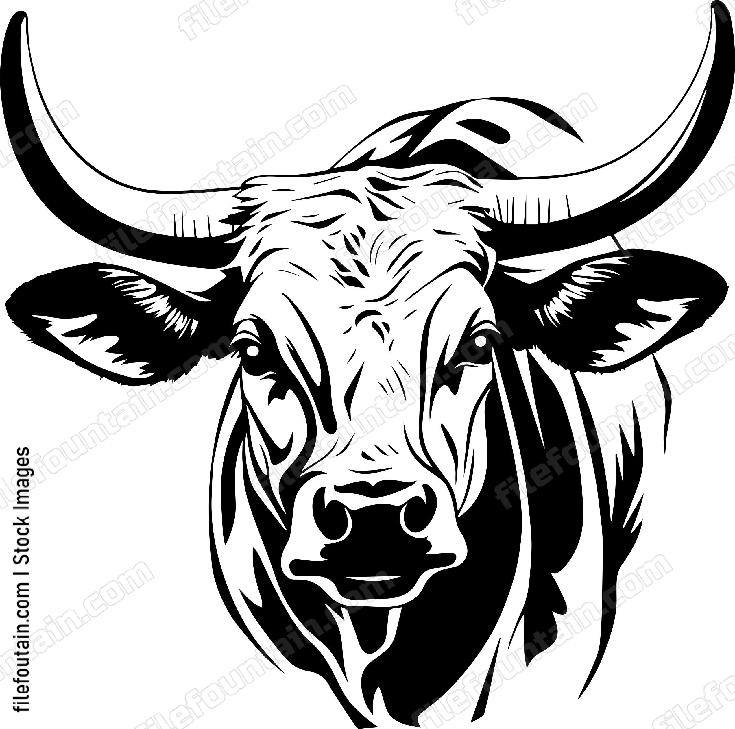 Texas Longhorn Mascot