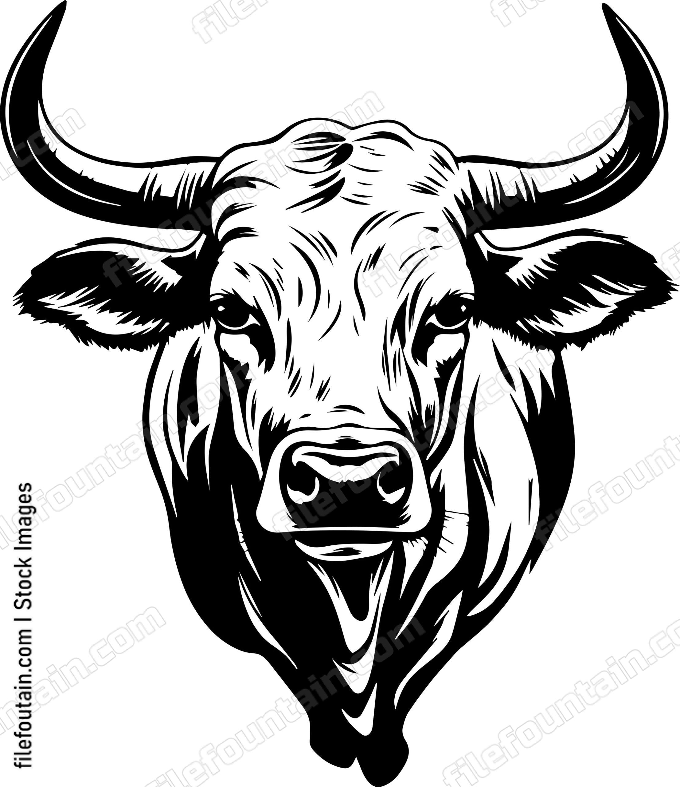 Texas Longhorn Mascot