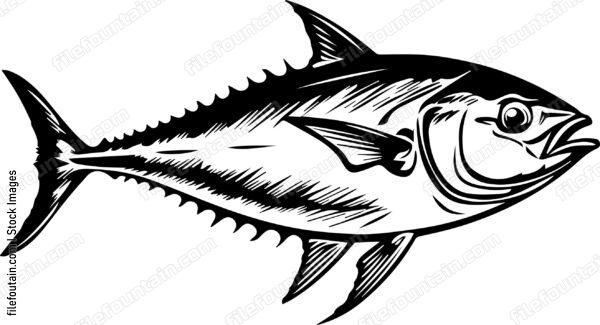 Tuna