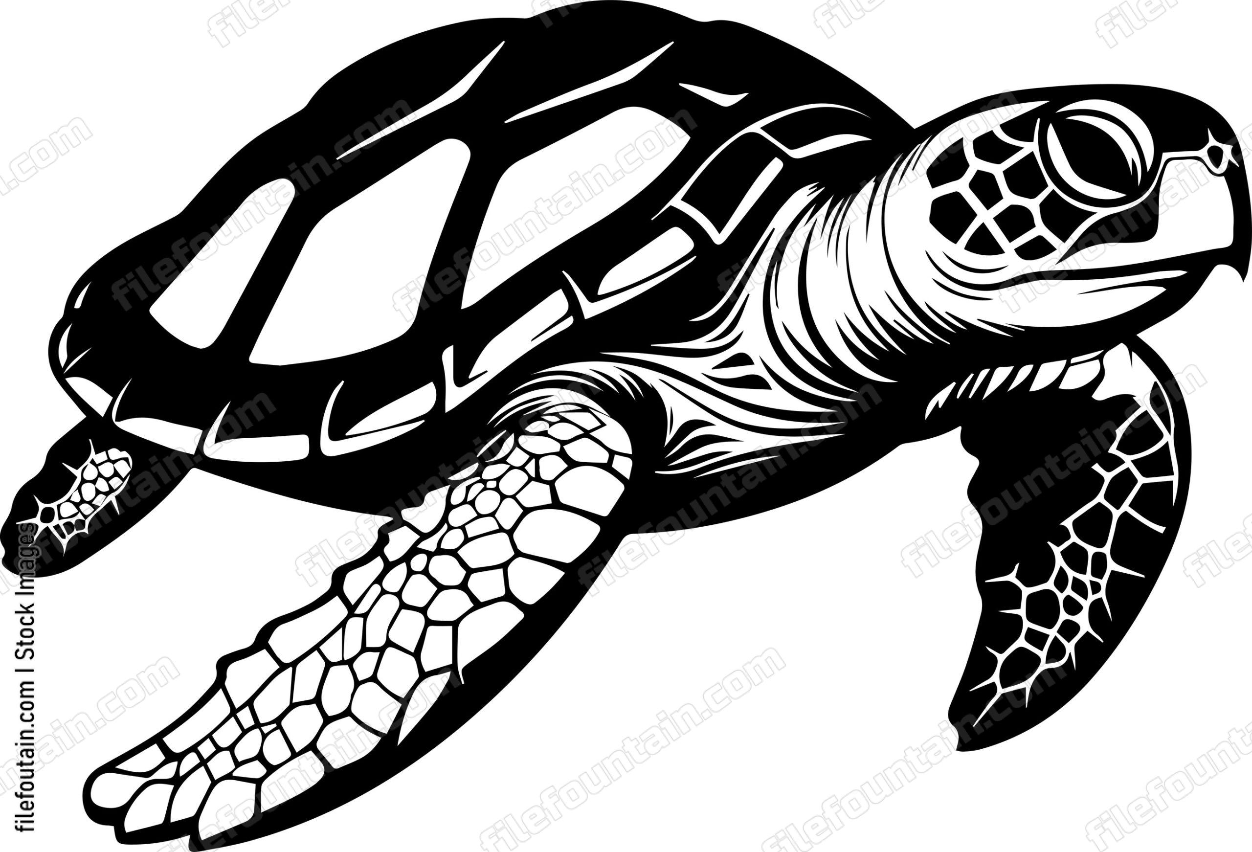 Turtle