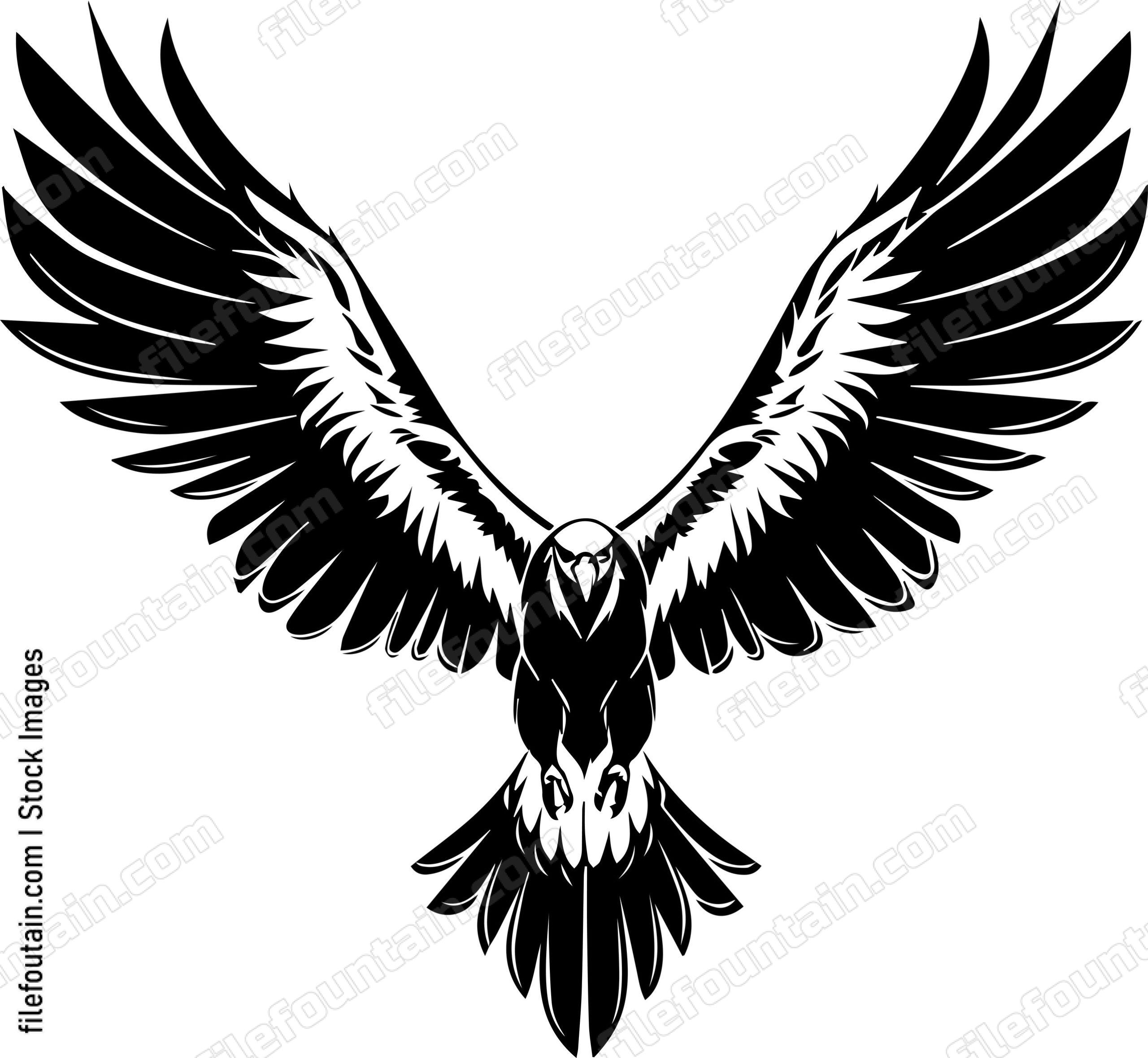 vulture Flying