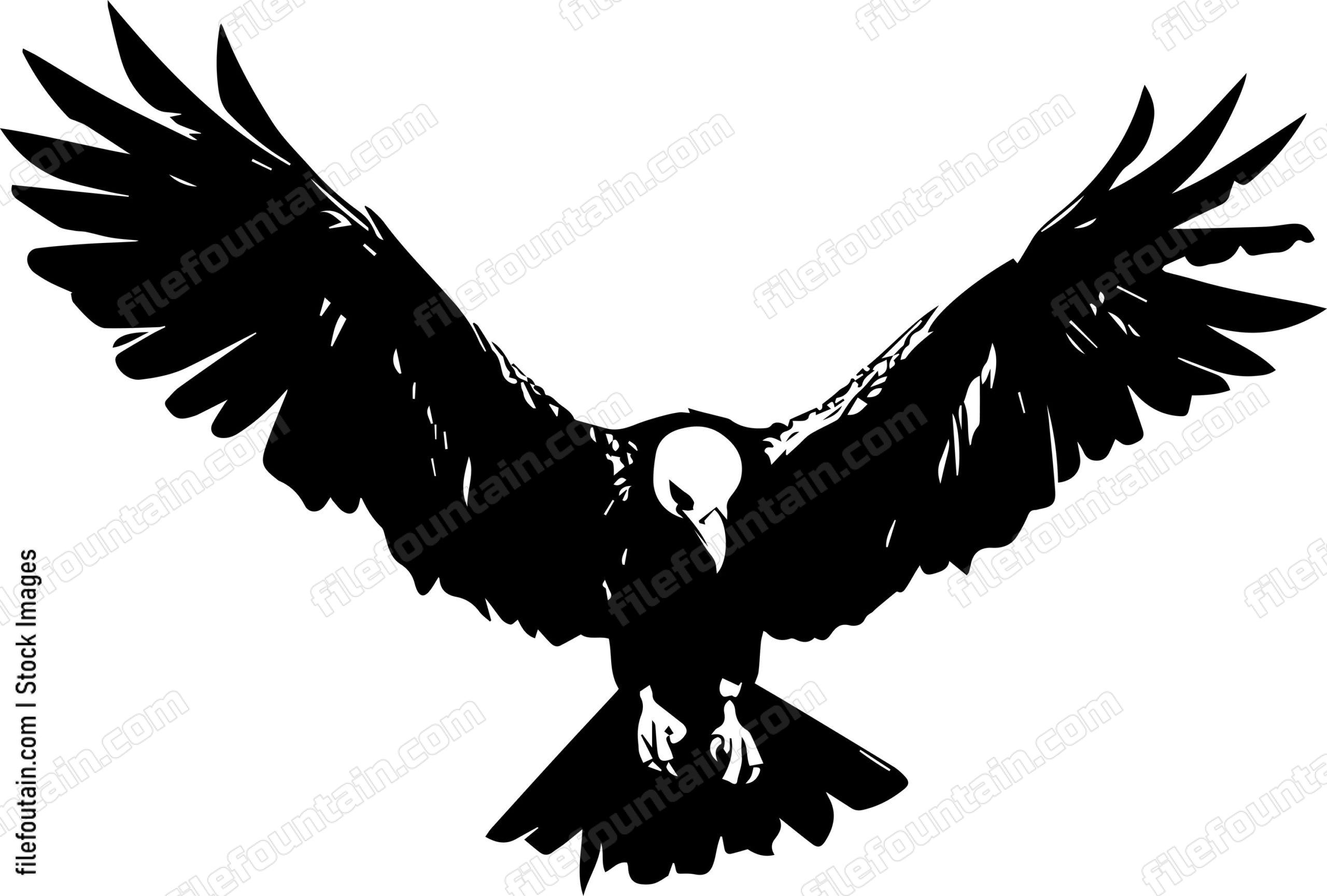 vulture Flying