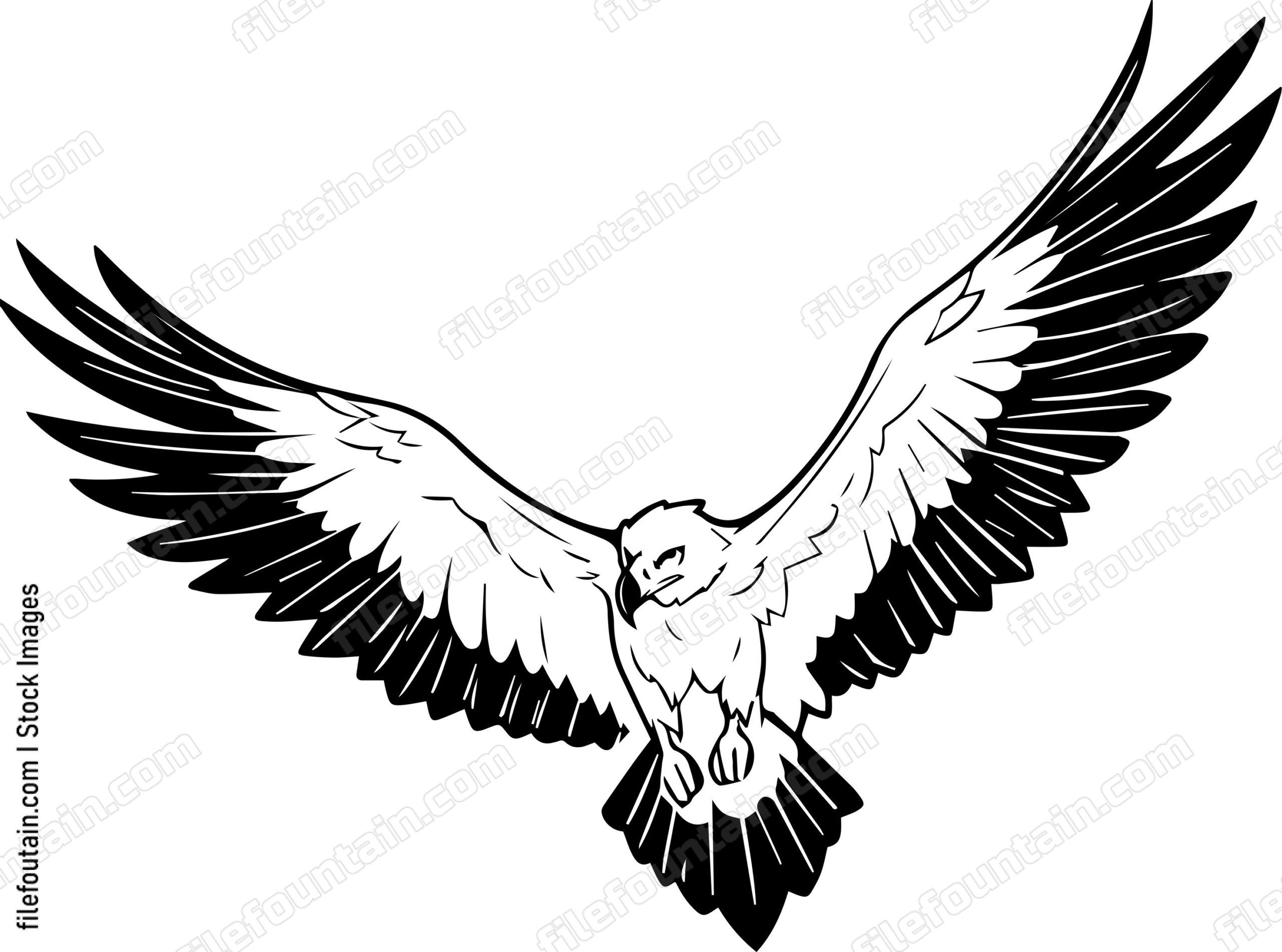 vulture Flying