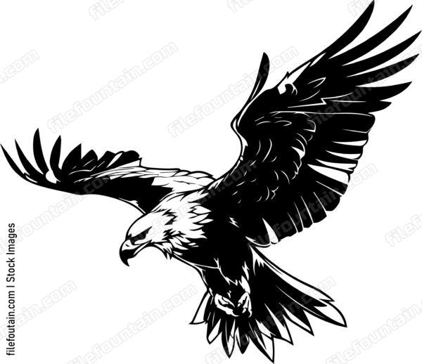vulture Flying