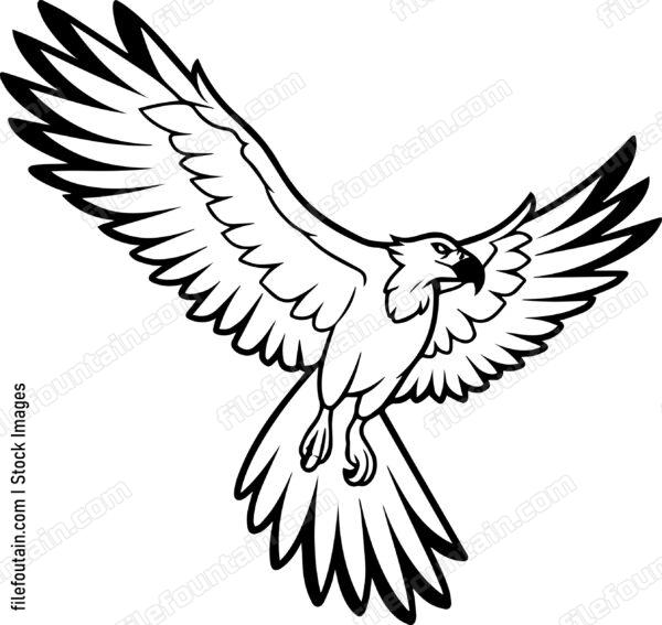 vulture Flying