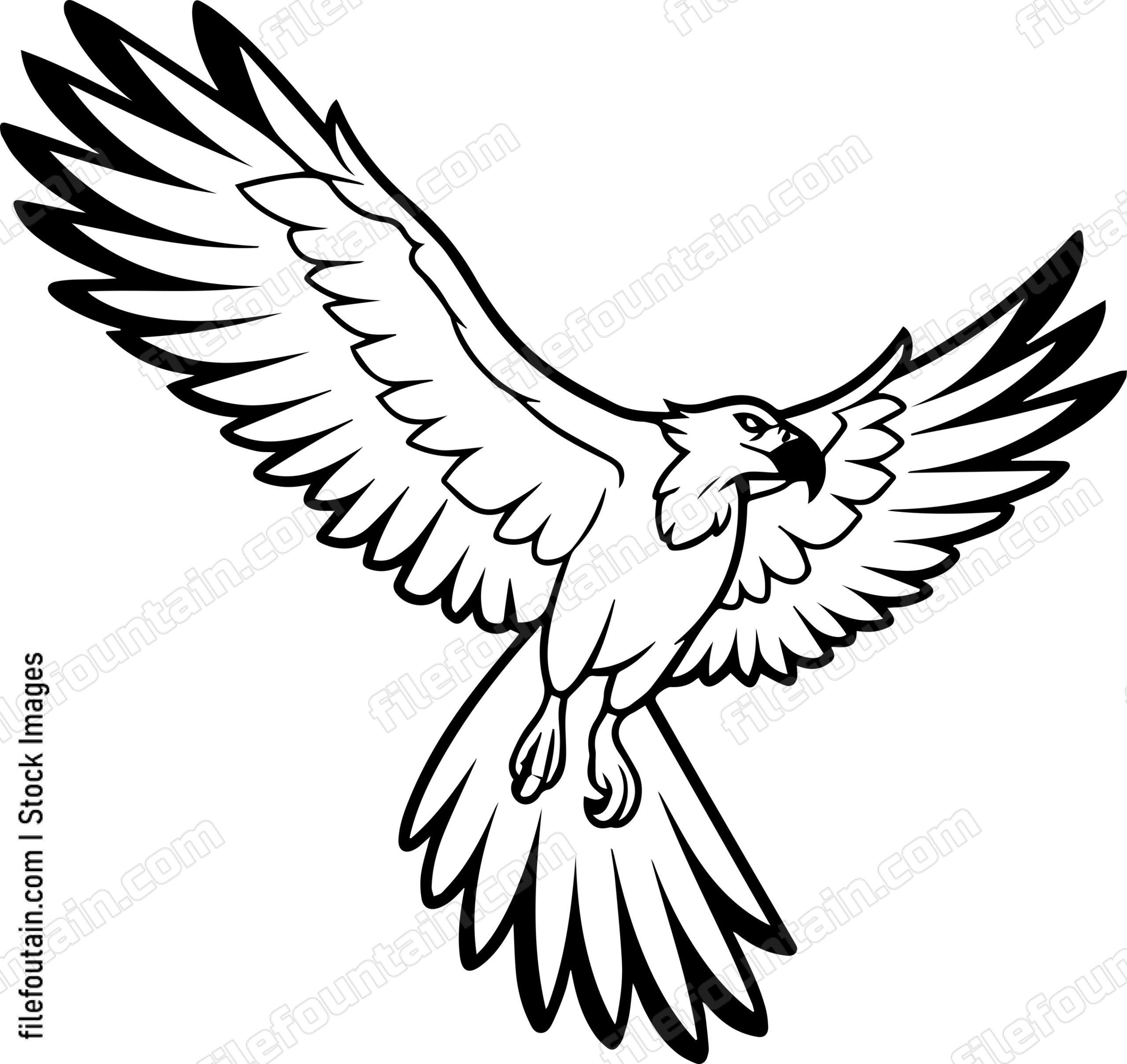 vulture Flying