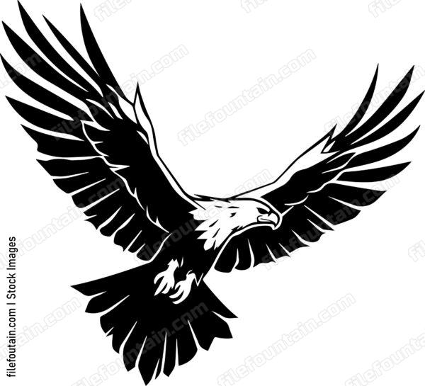 vulture Flying