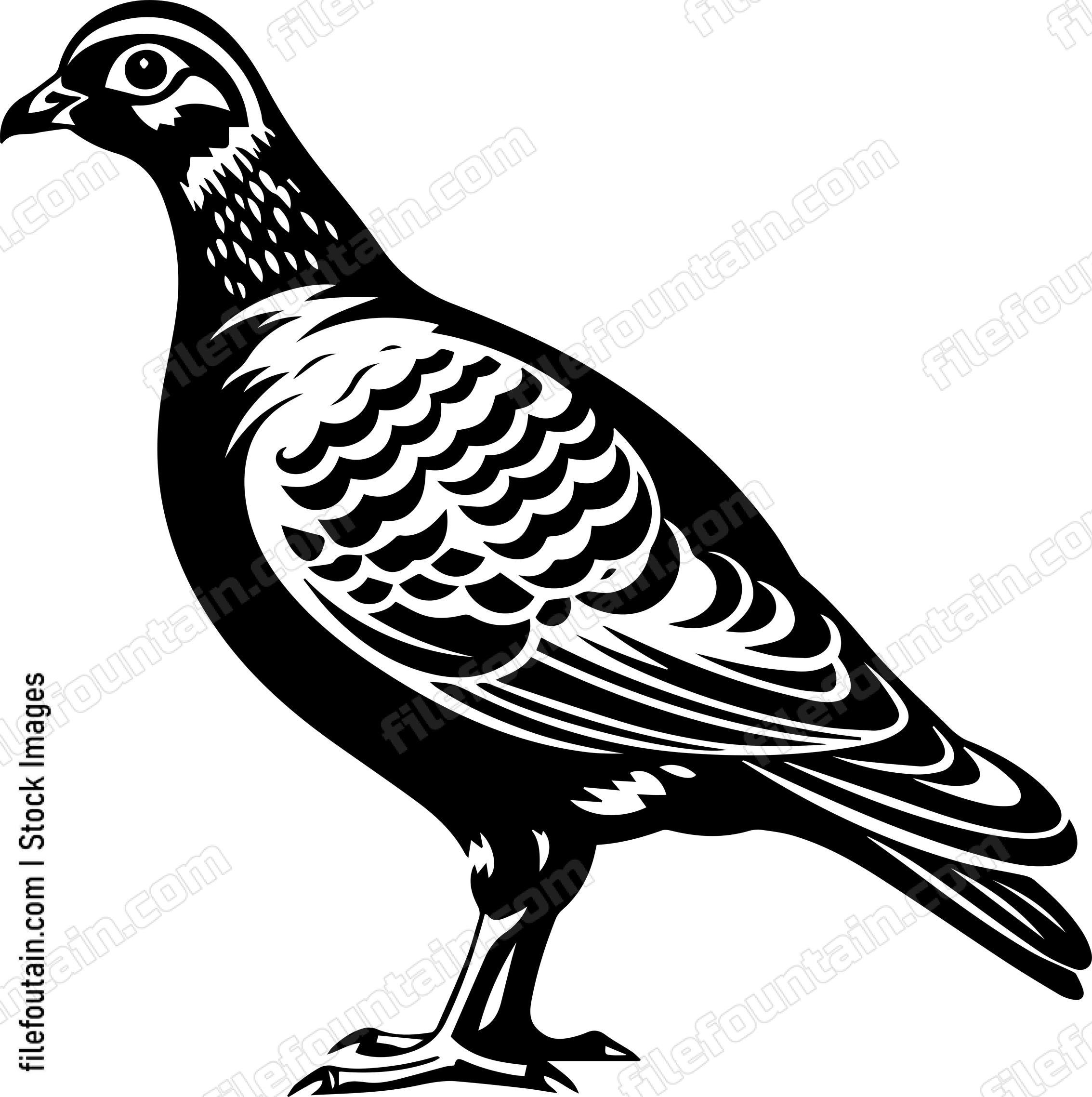 Wild Forest Bird