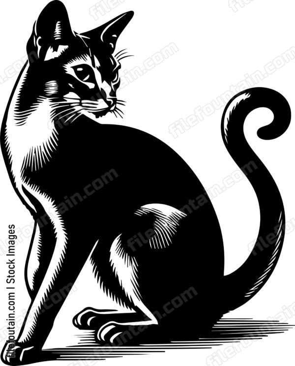 Abyssinian Cat Design