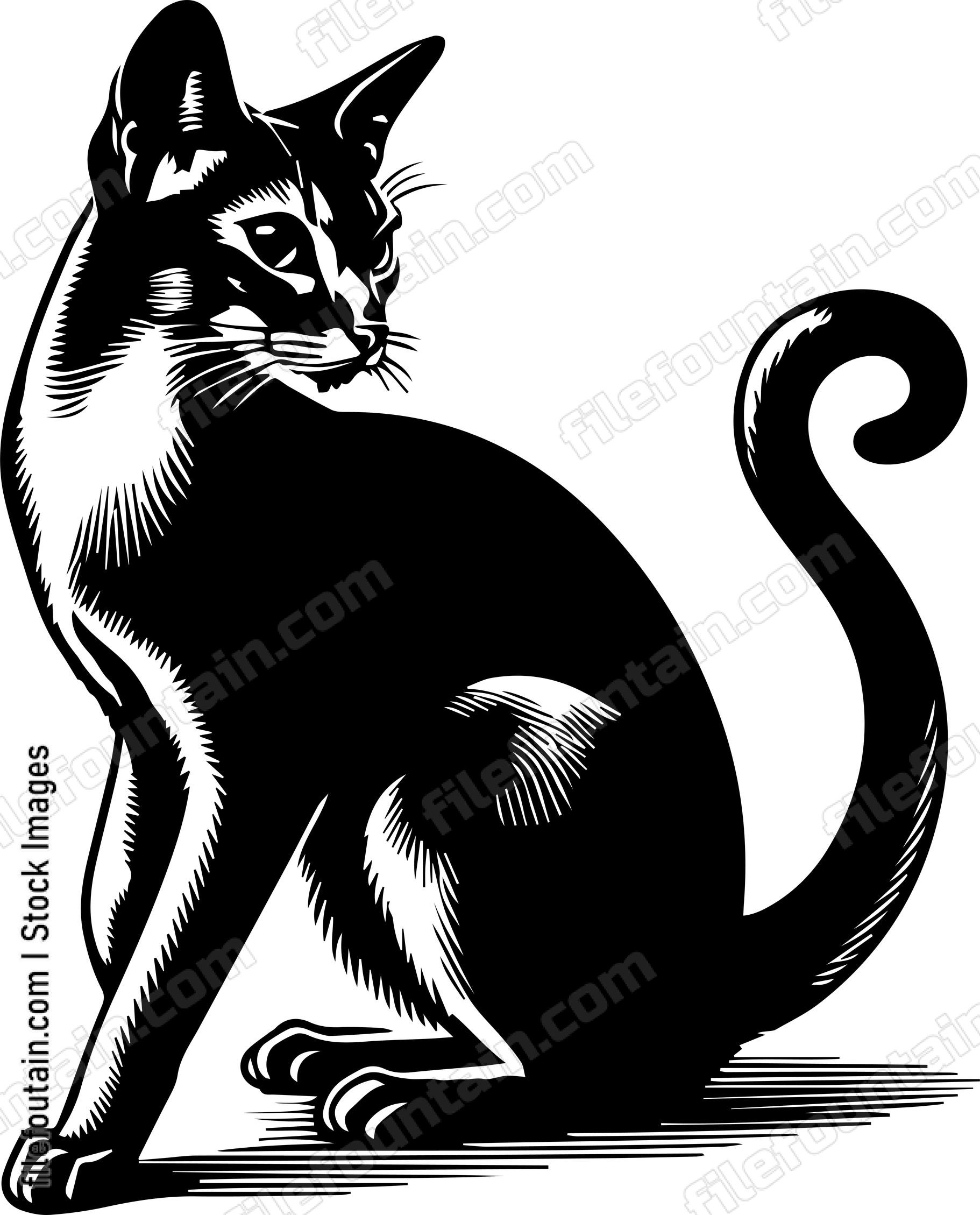 Abyssinian Cat Design