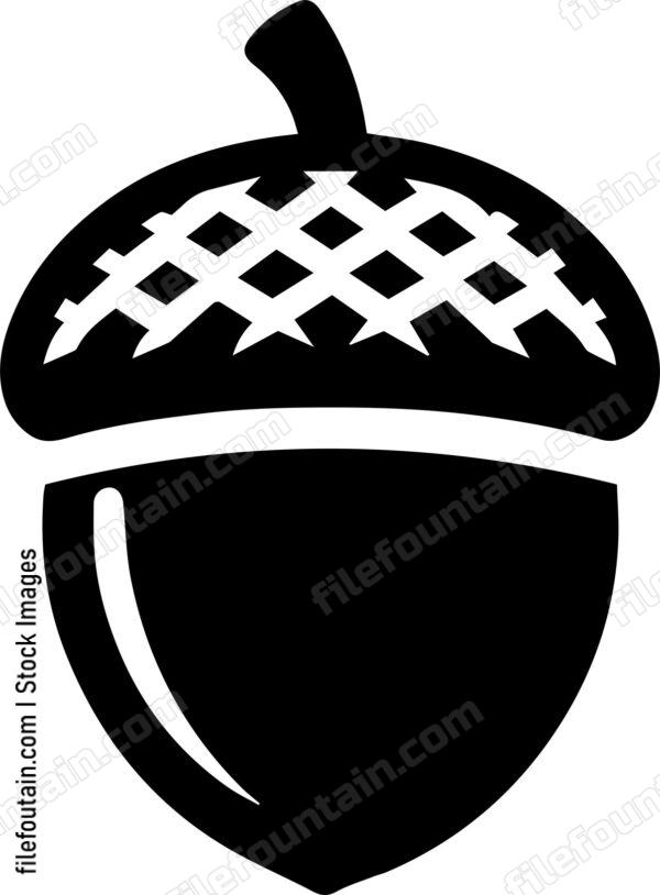 Acorn