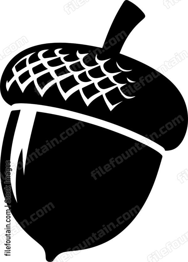 Acorn
