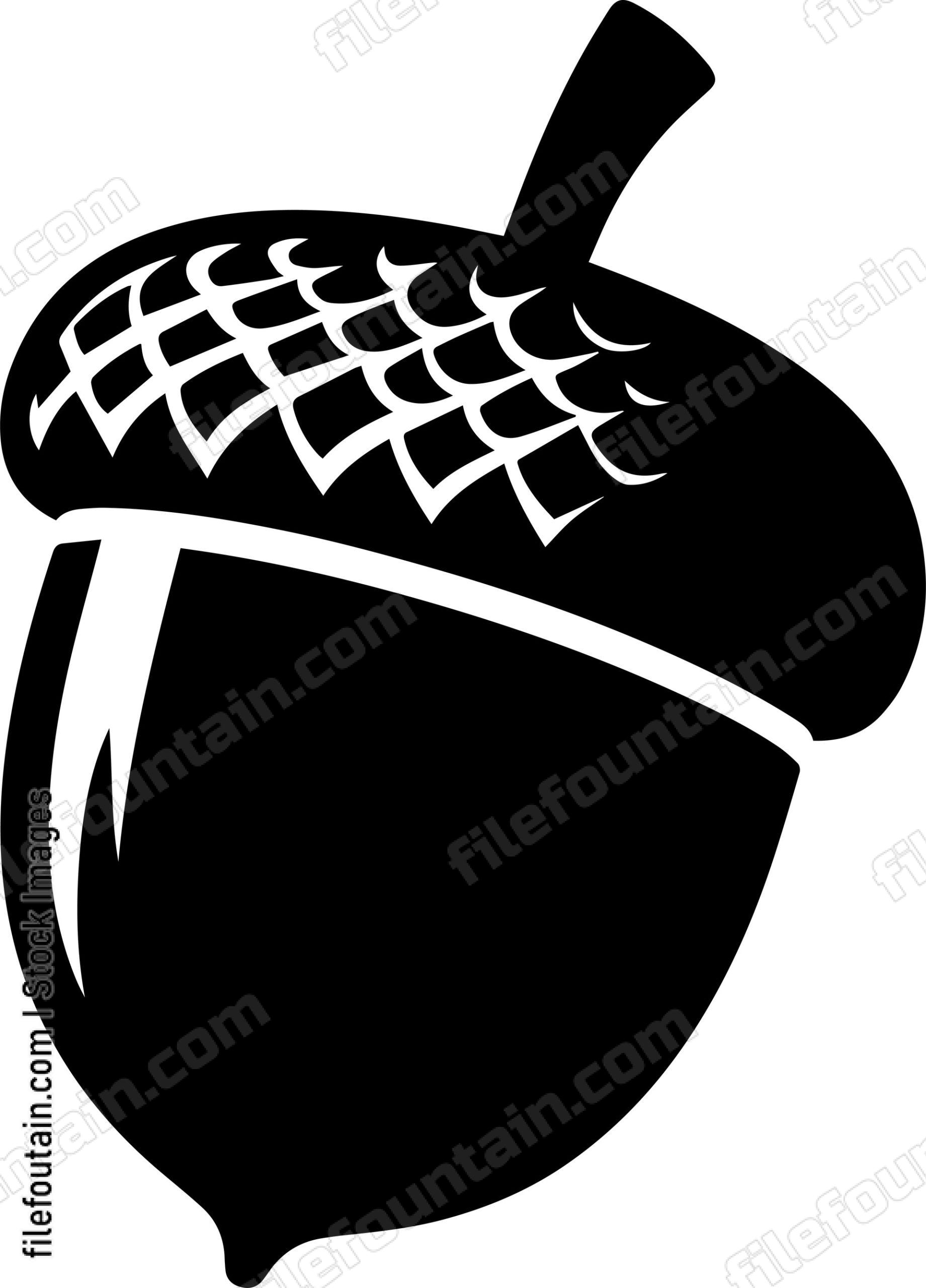 Acorn