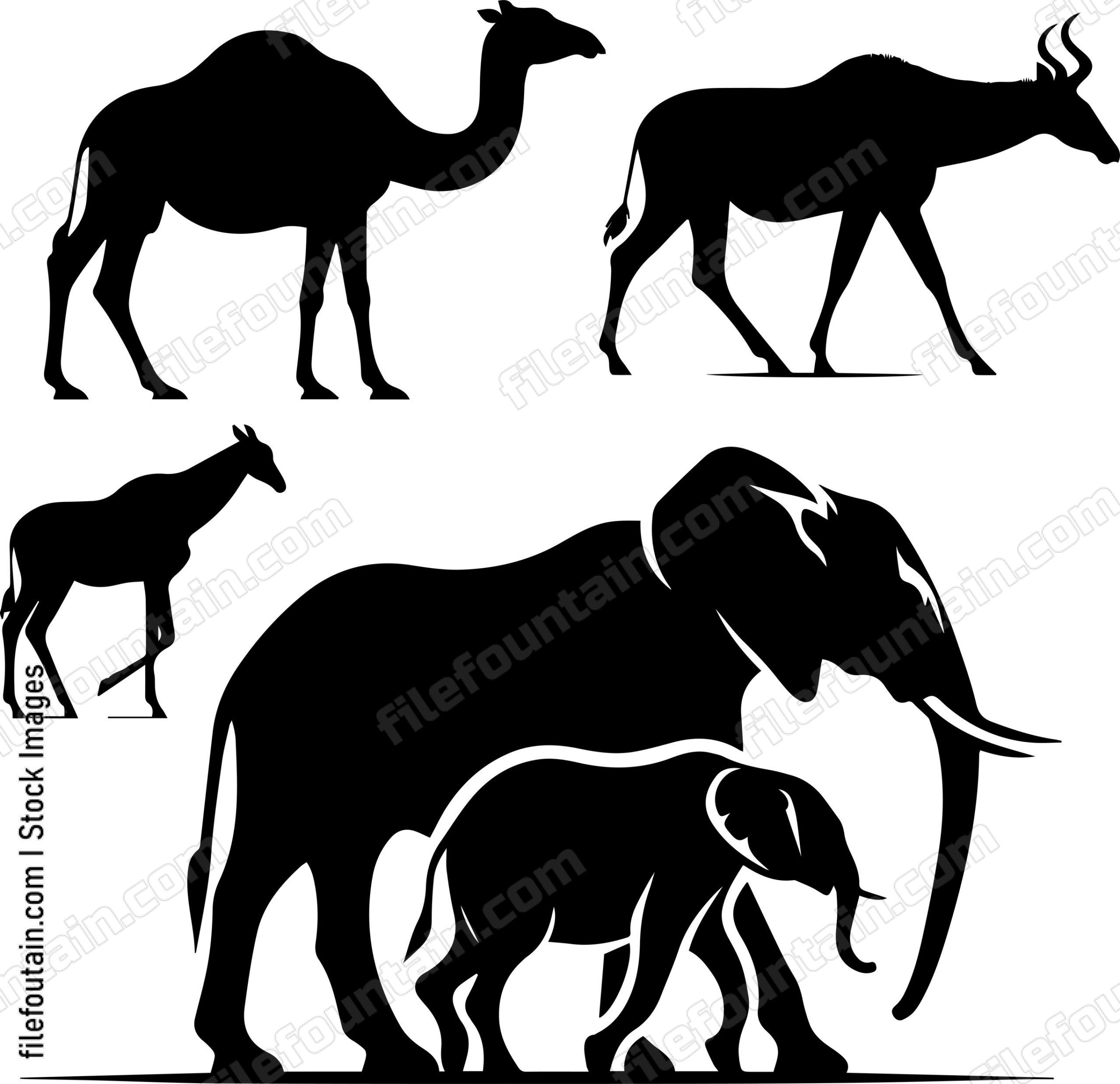 African Mammals