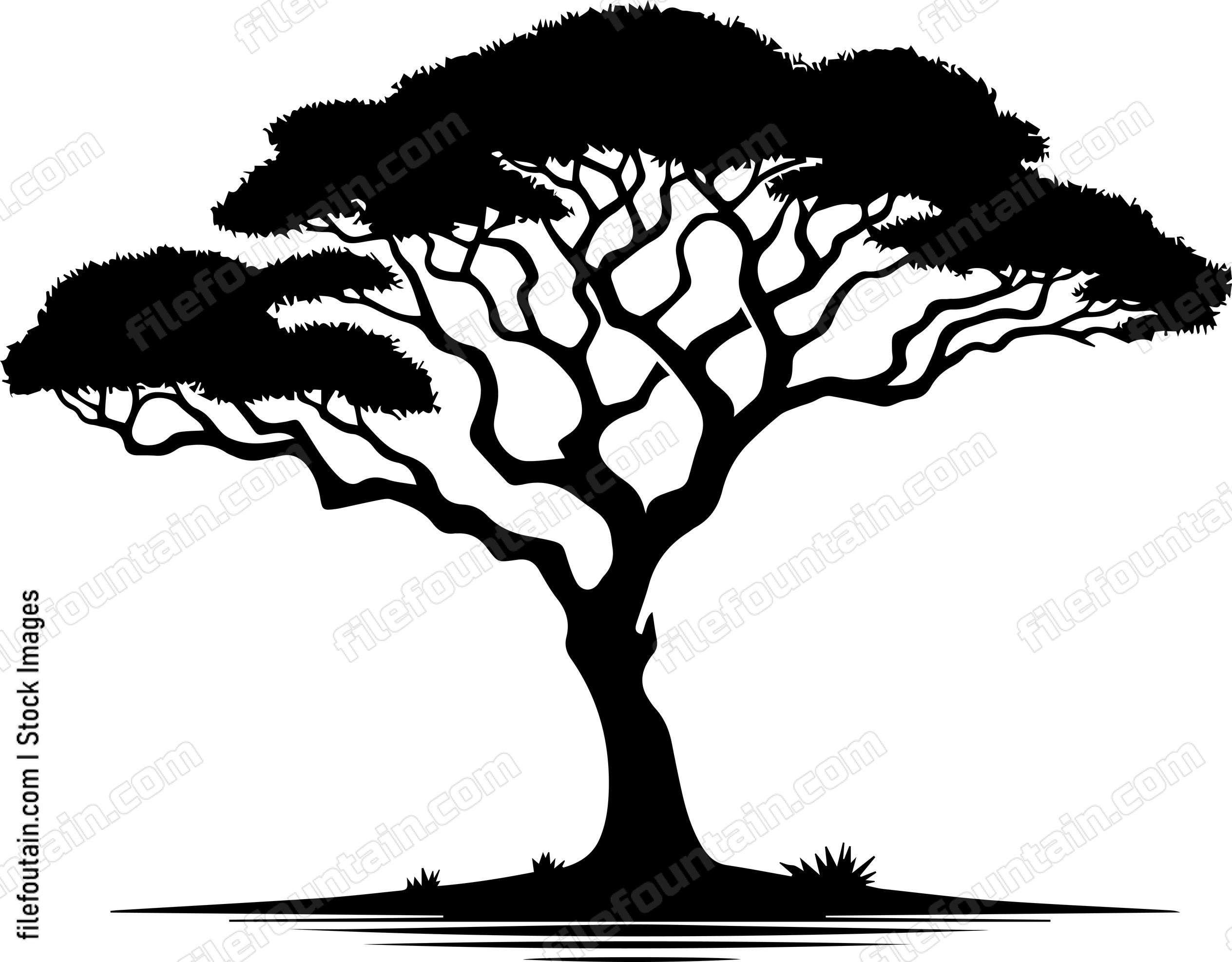 African Tree