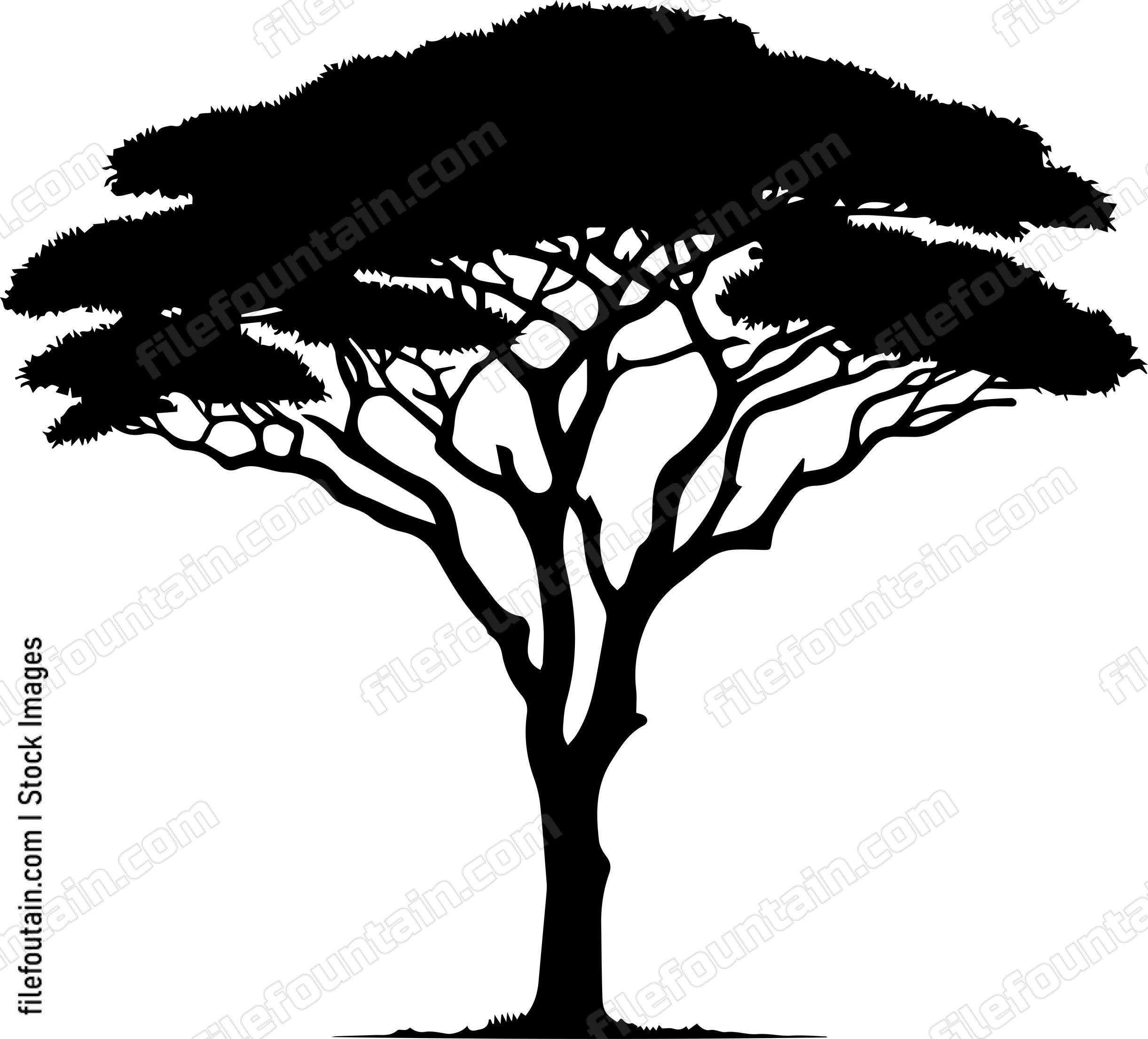 African Tree
